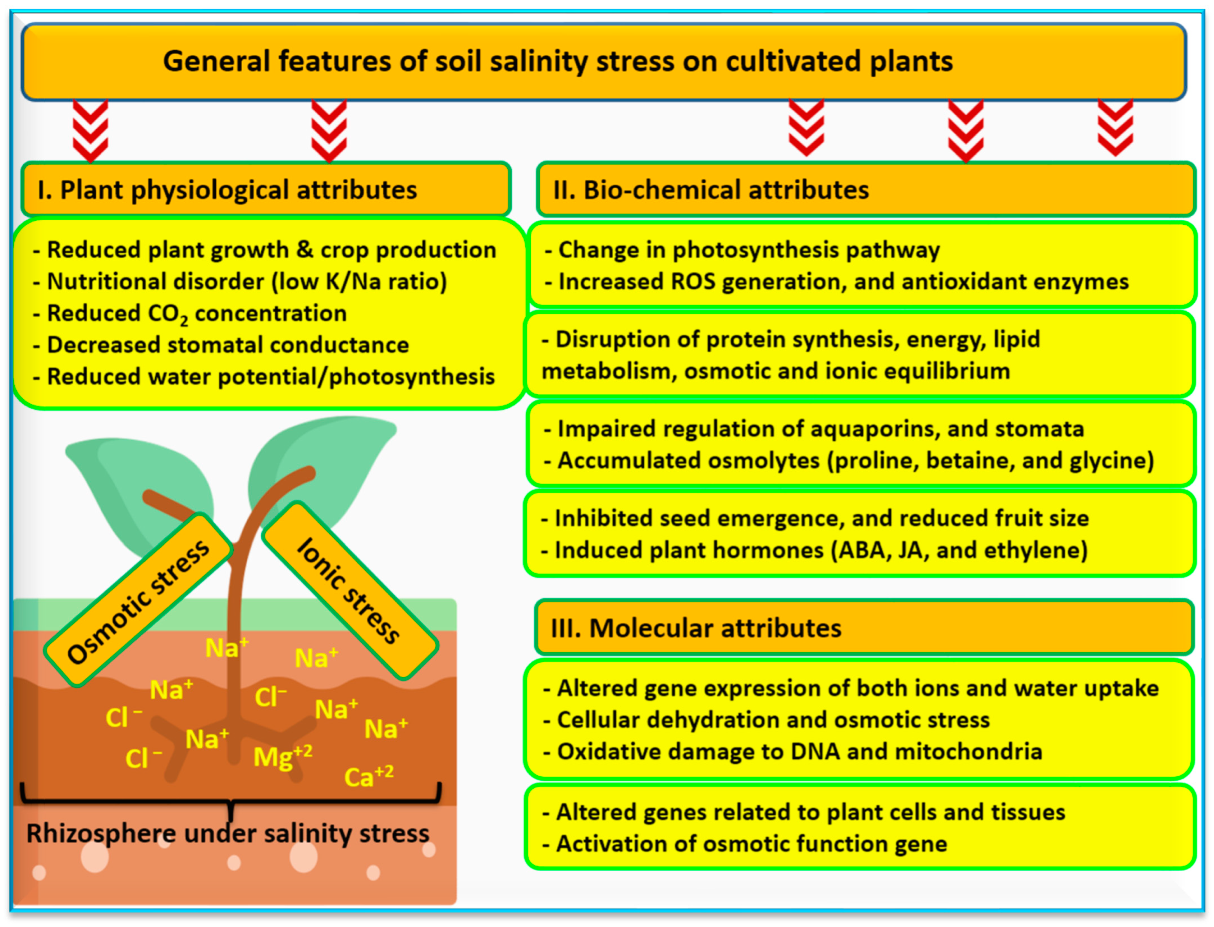 Soilsystems 08 00011 g010