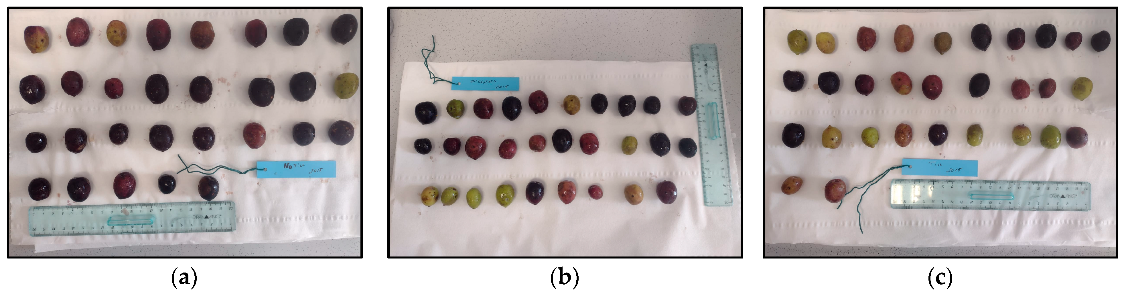 Soilsystems 08 00013 g002