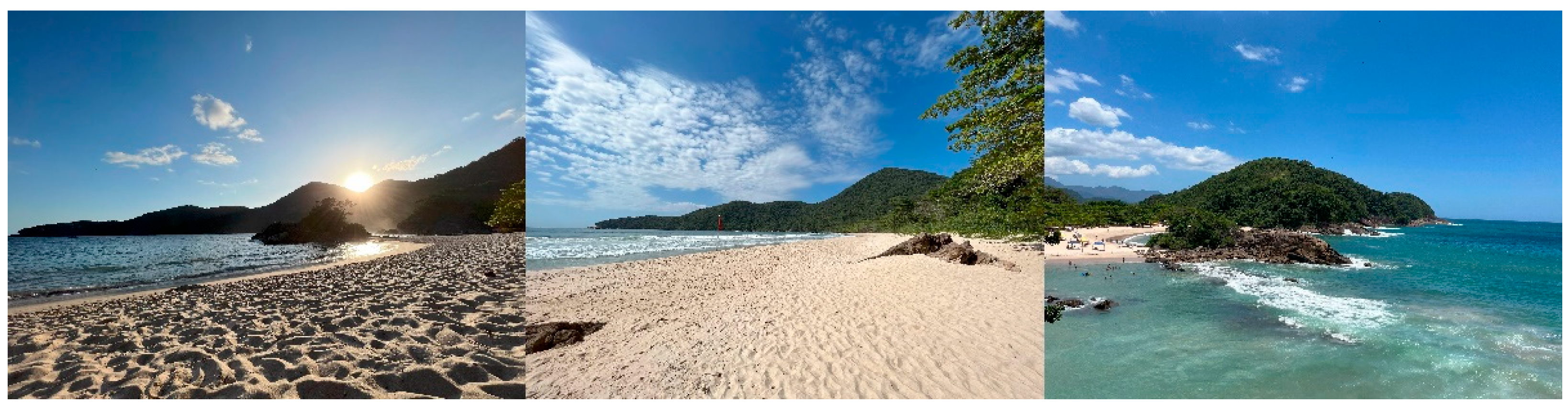 Soilsystems 08 00024 g001