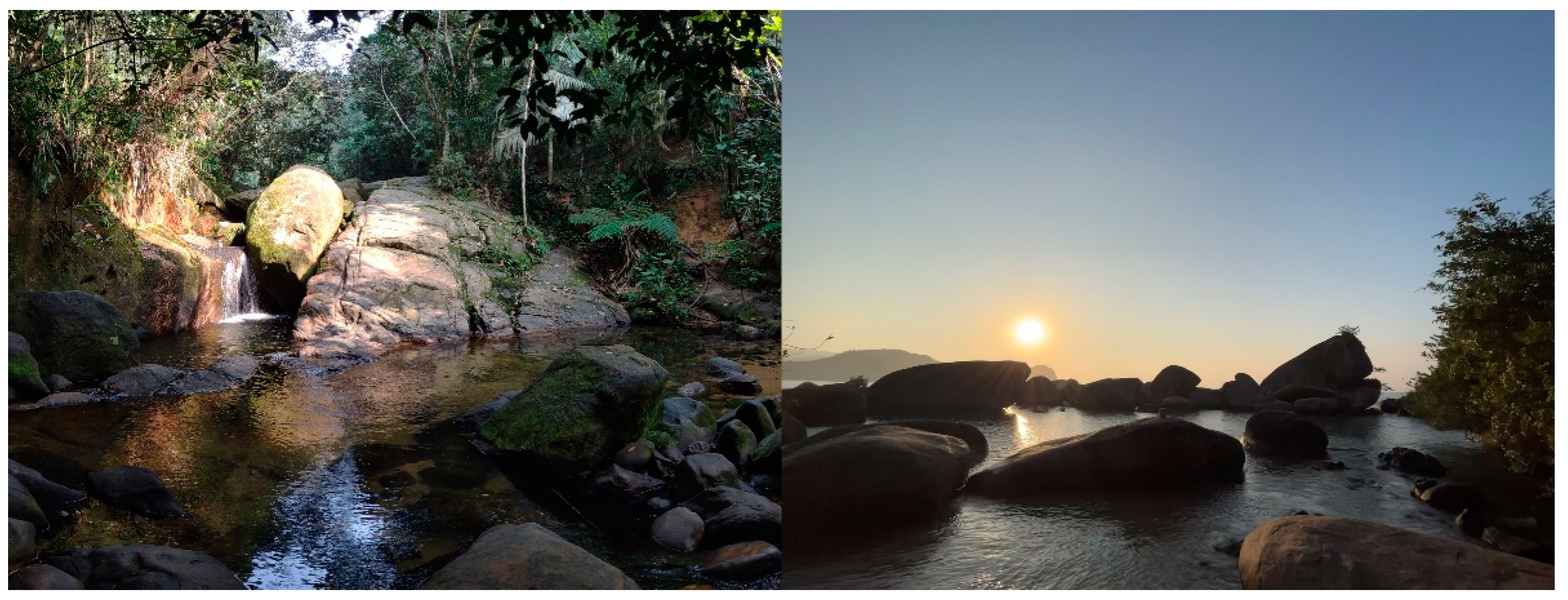 Soilsystems 08 00024 g004