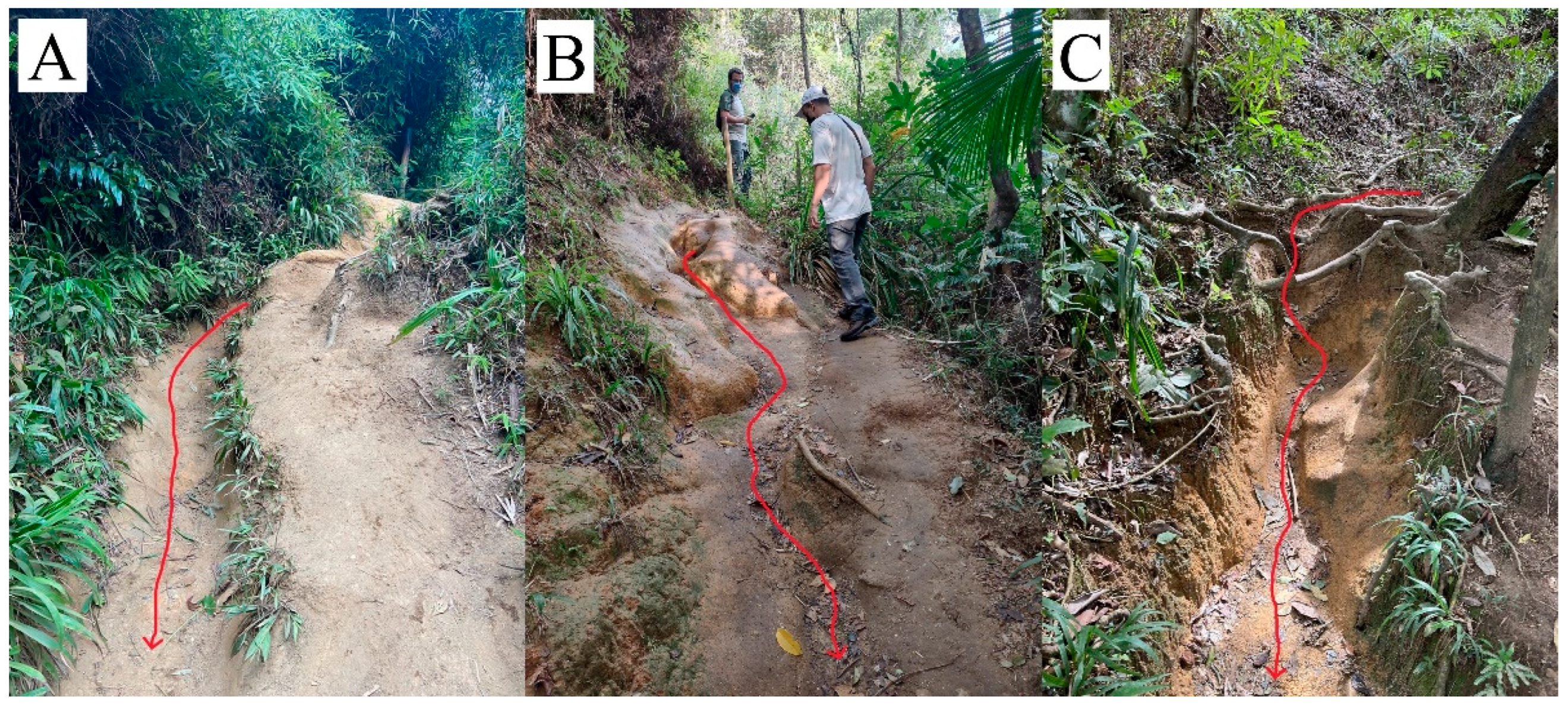 Soilsystems 08 00024 g005