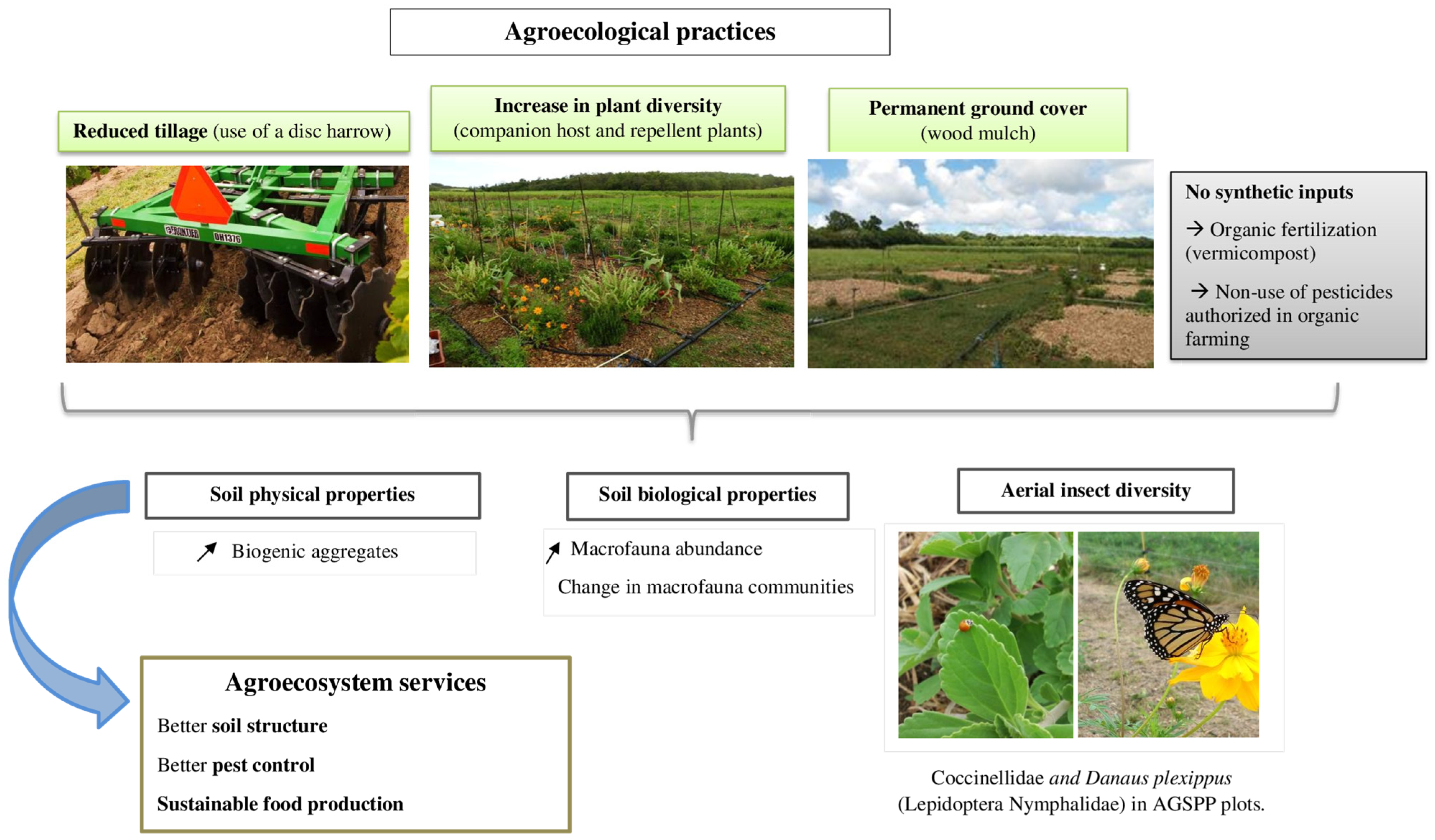 Soilsystems 08 00026 g004