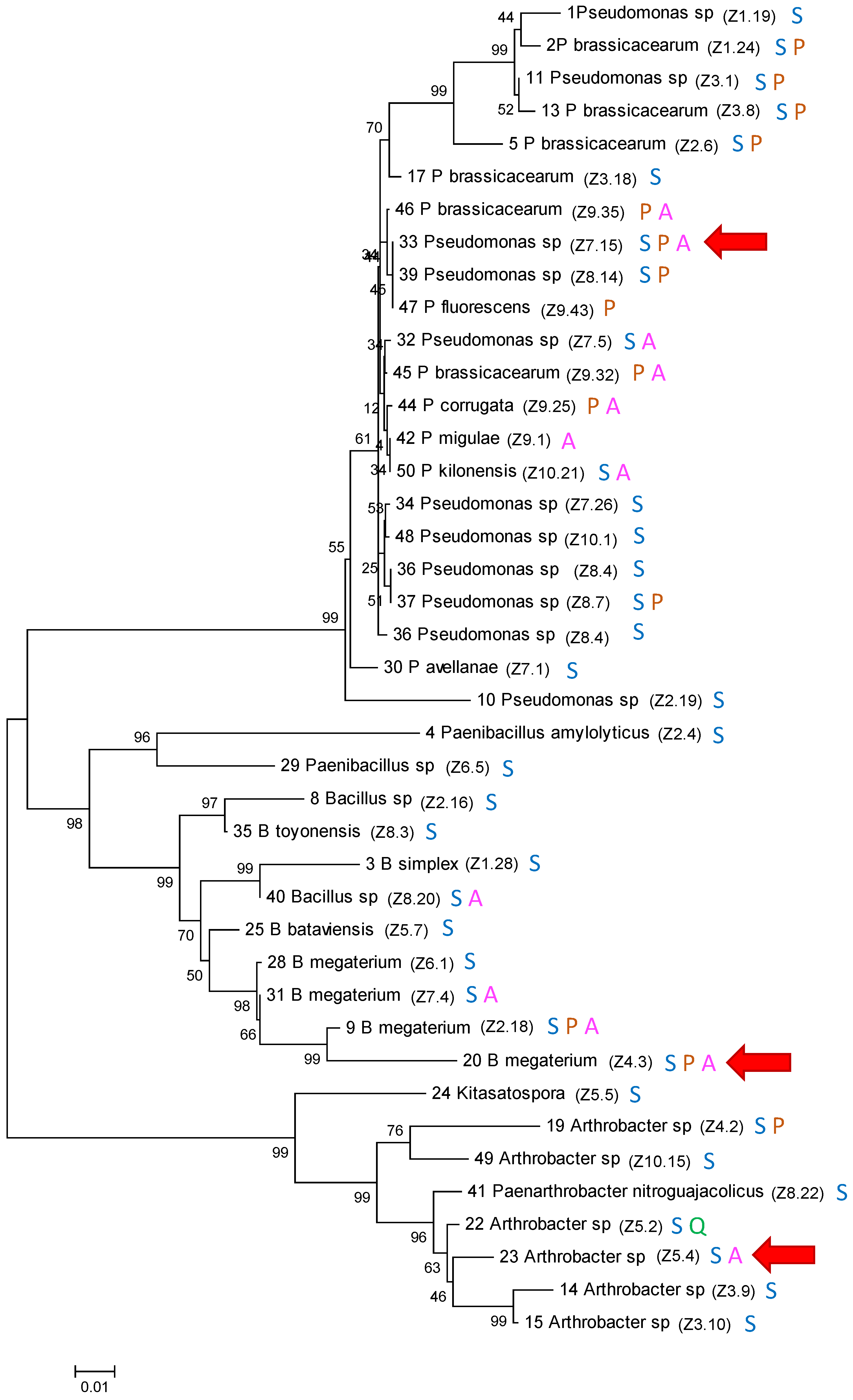 Soilsystems 08 00039 g002