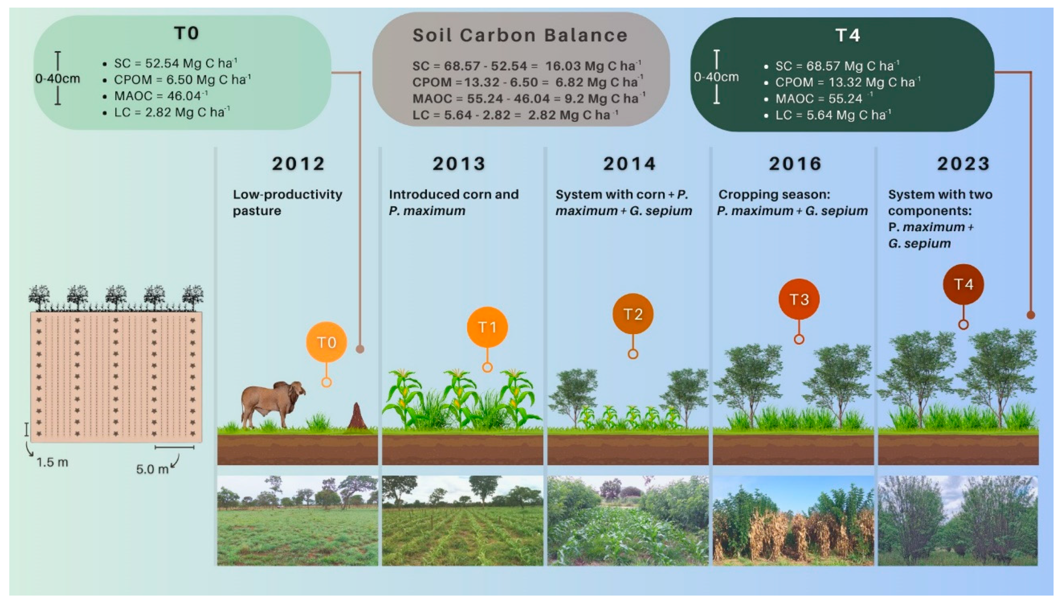 Soilsystems 08 00044 g006