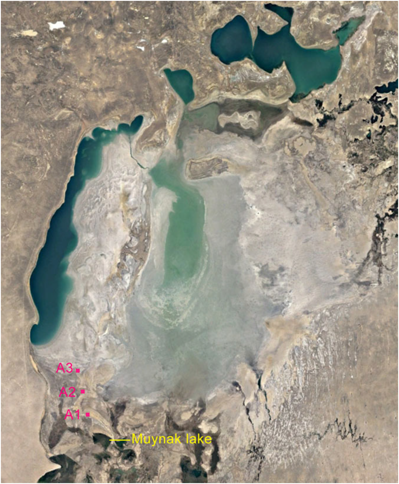 Soilsystems 08 00058 g003