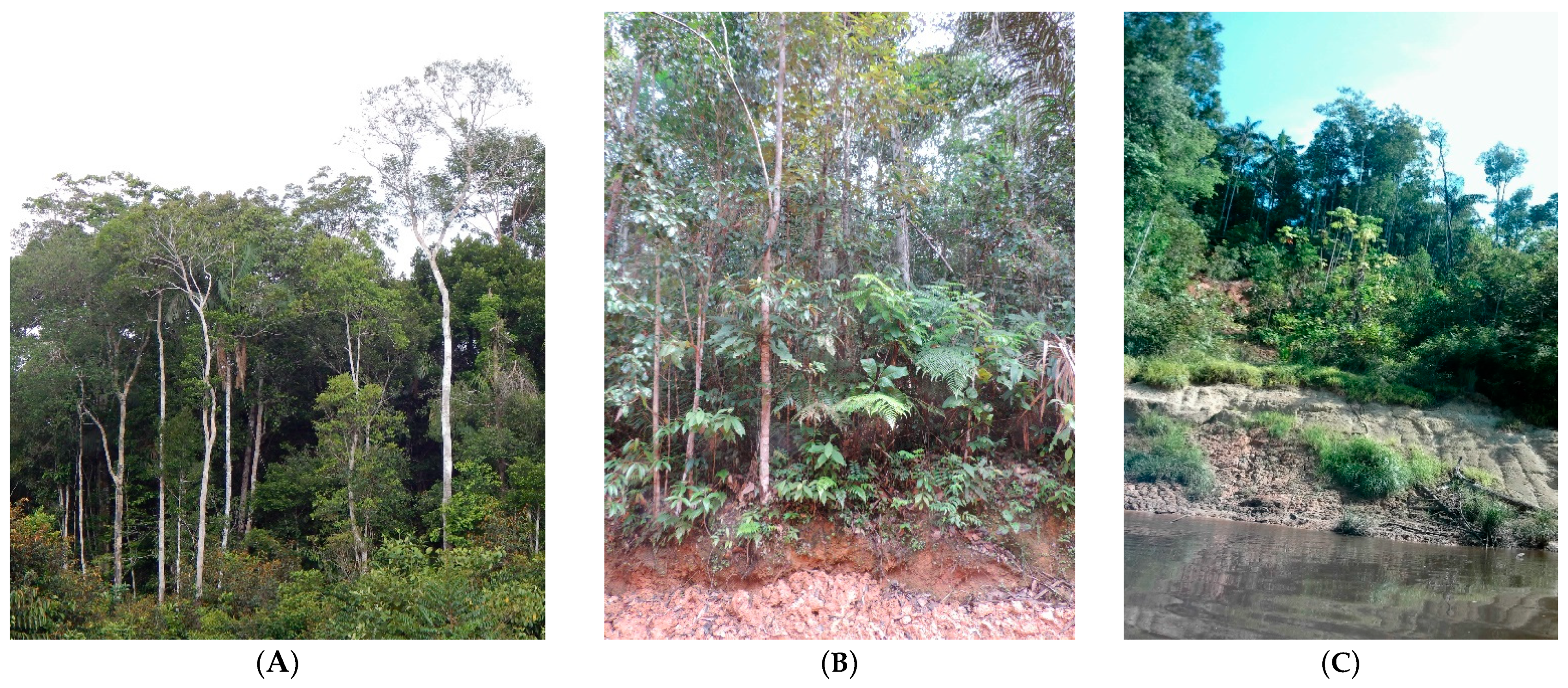 Soilsystems 08 00065 g002