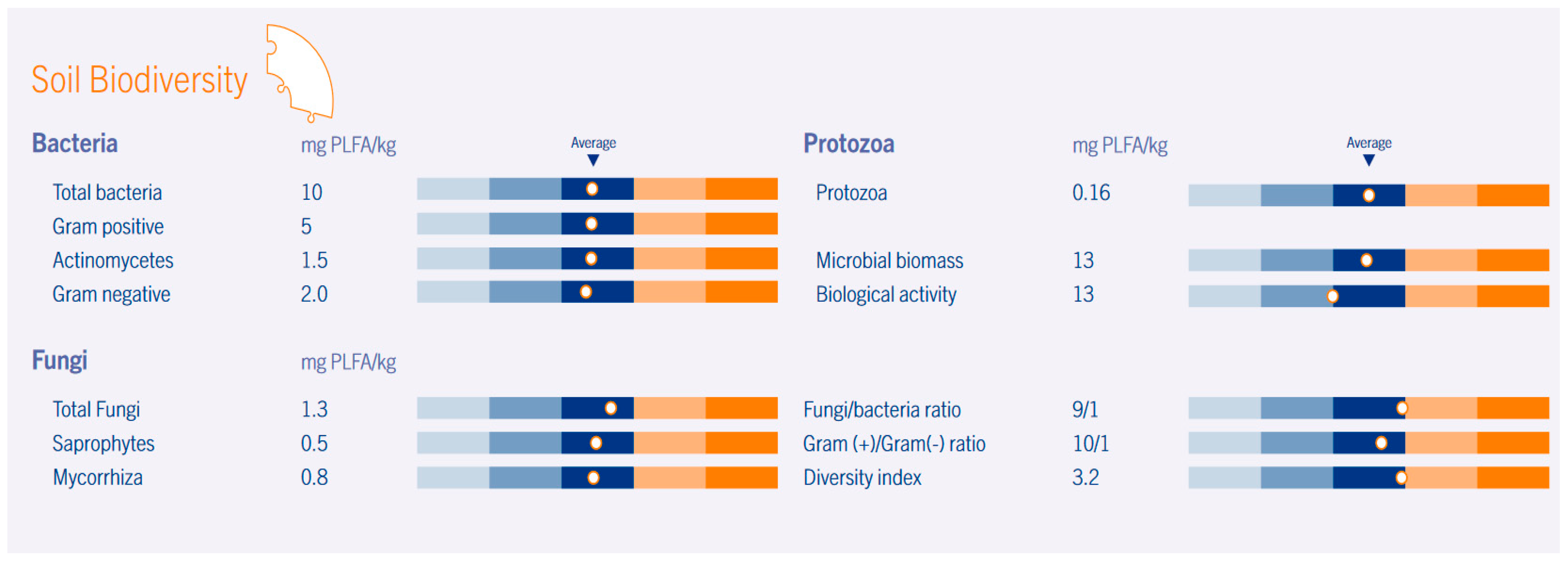 Soilsystems 08 00079 g003