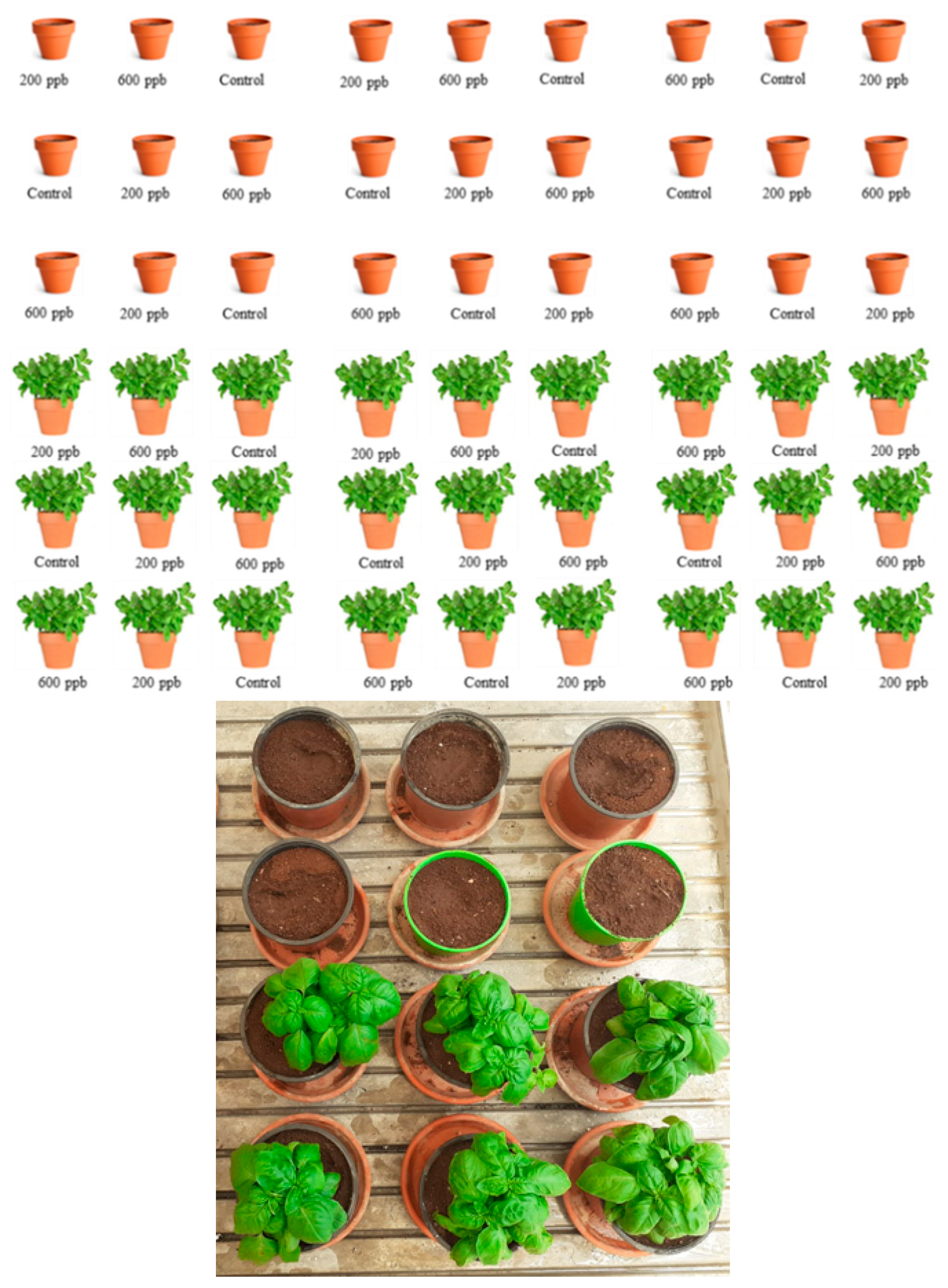 Soilsystems 08 00083 g001