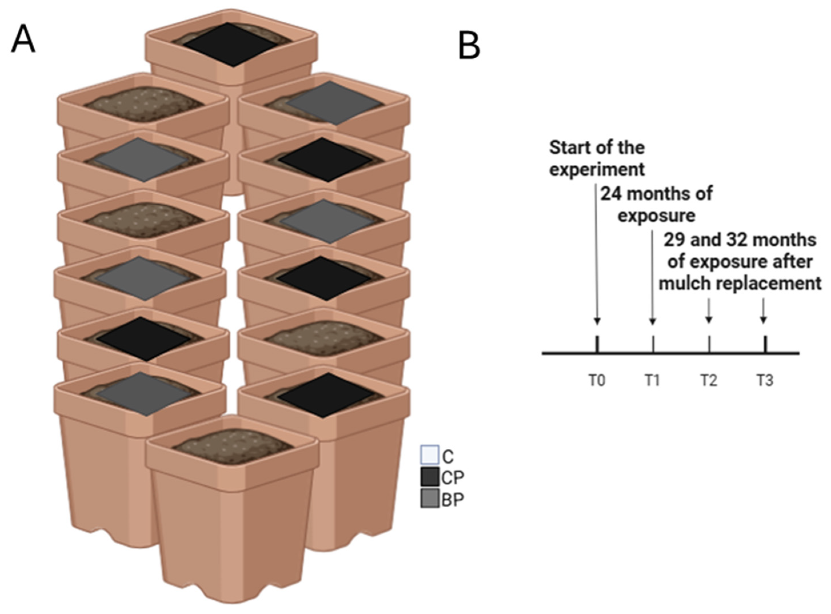 Soilsystems 08 00092 g001