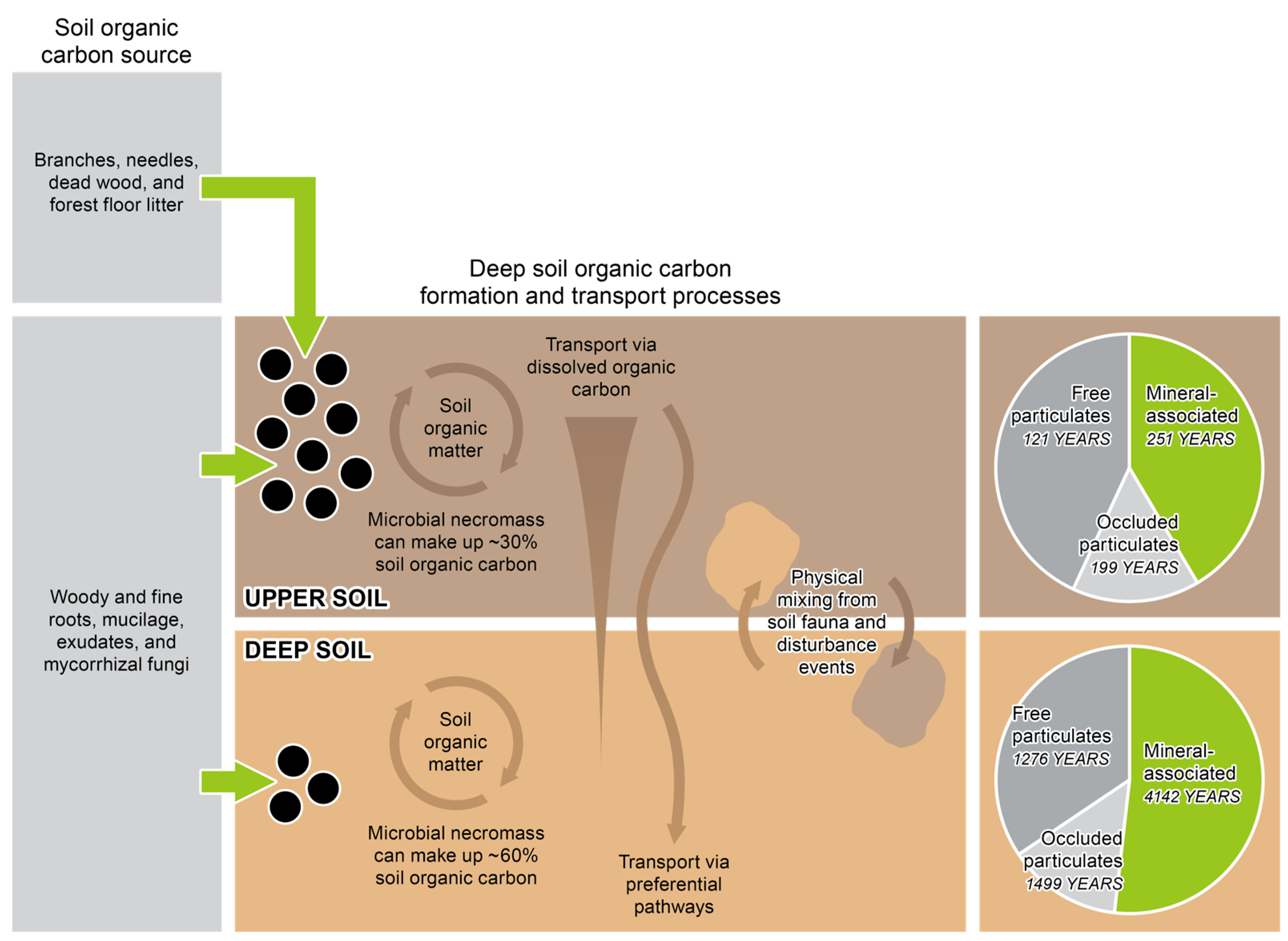 Soilsystems 08 00105 g003