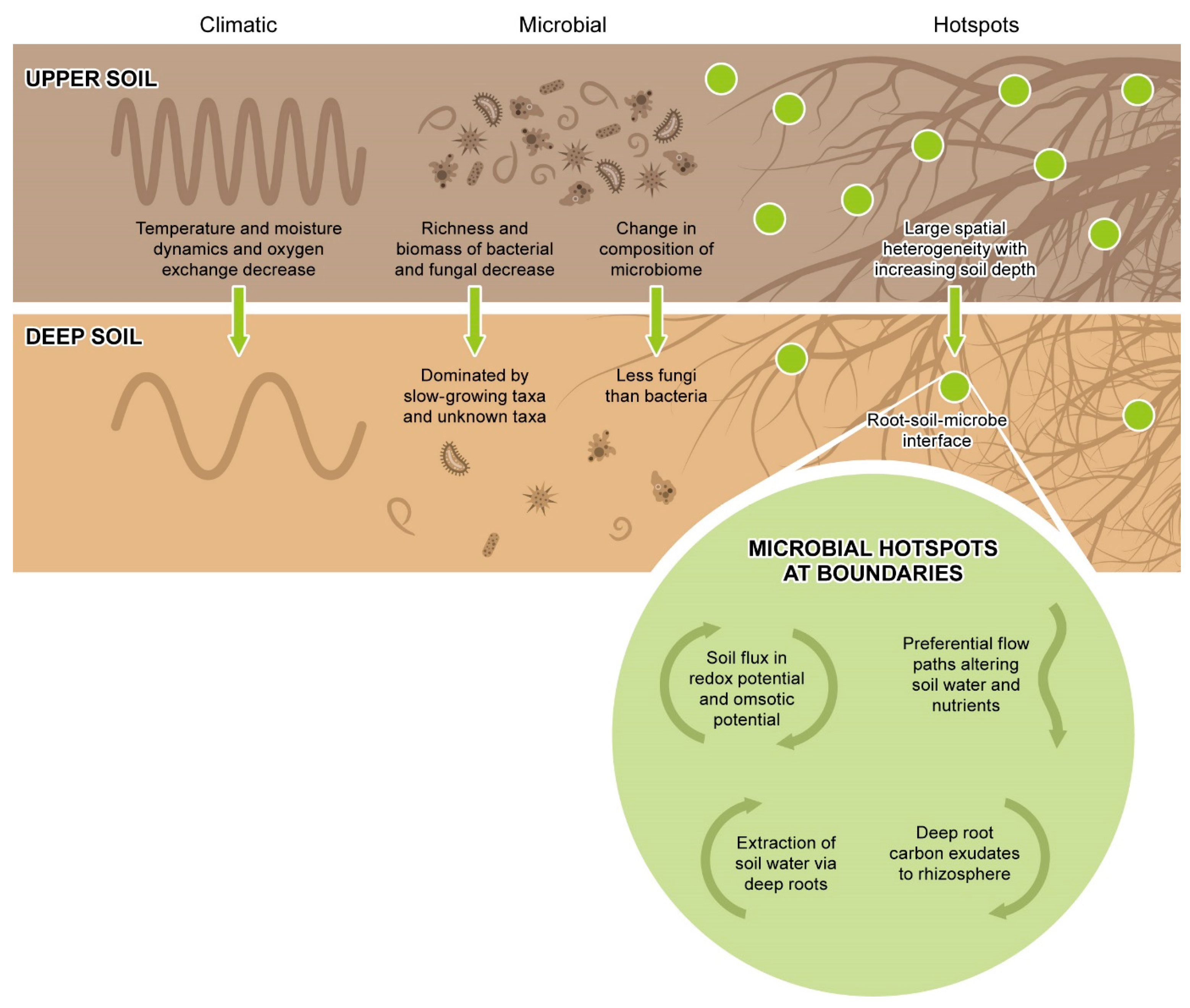 Soilsystems 08 00105 g004