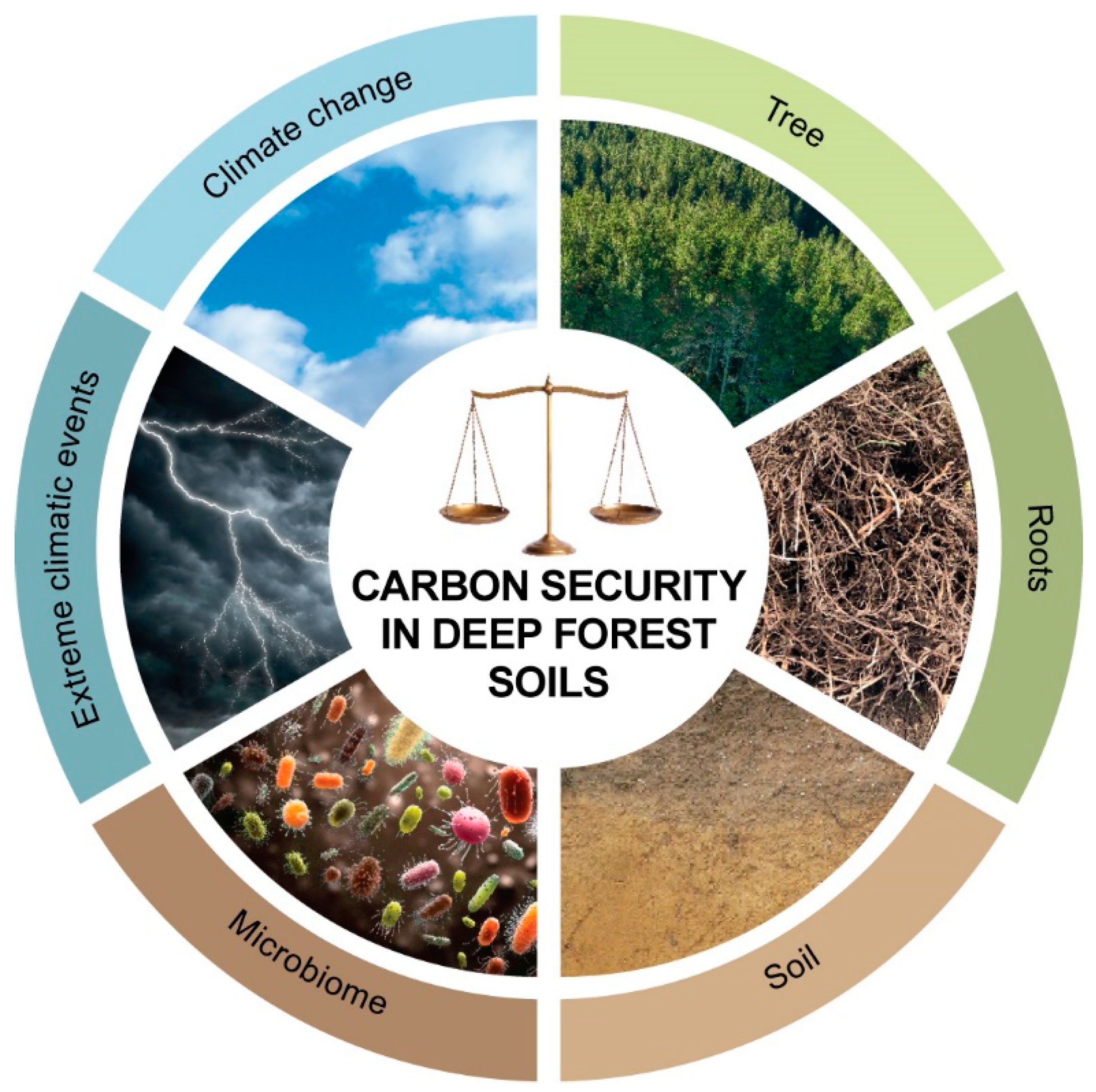 Soilsystems 08 00105 g005