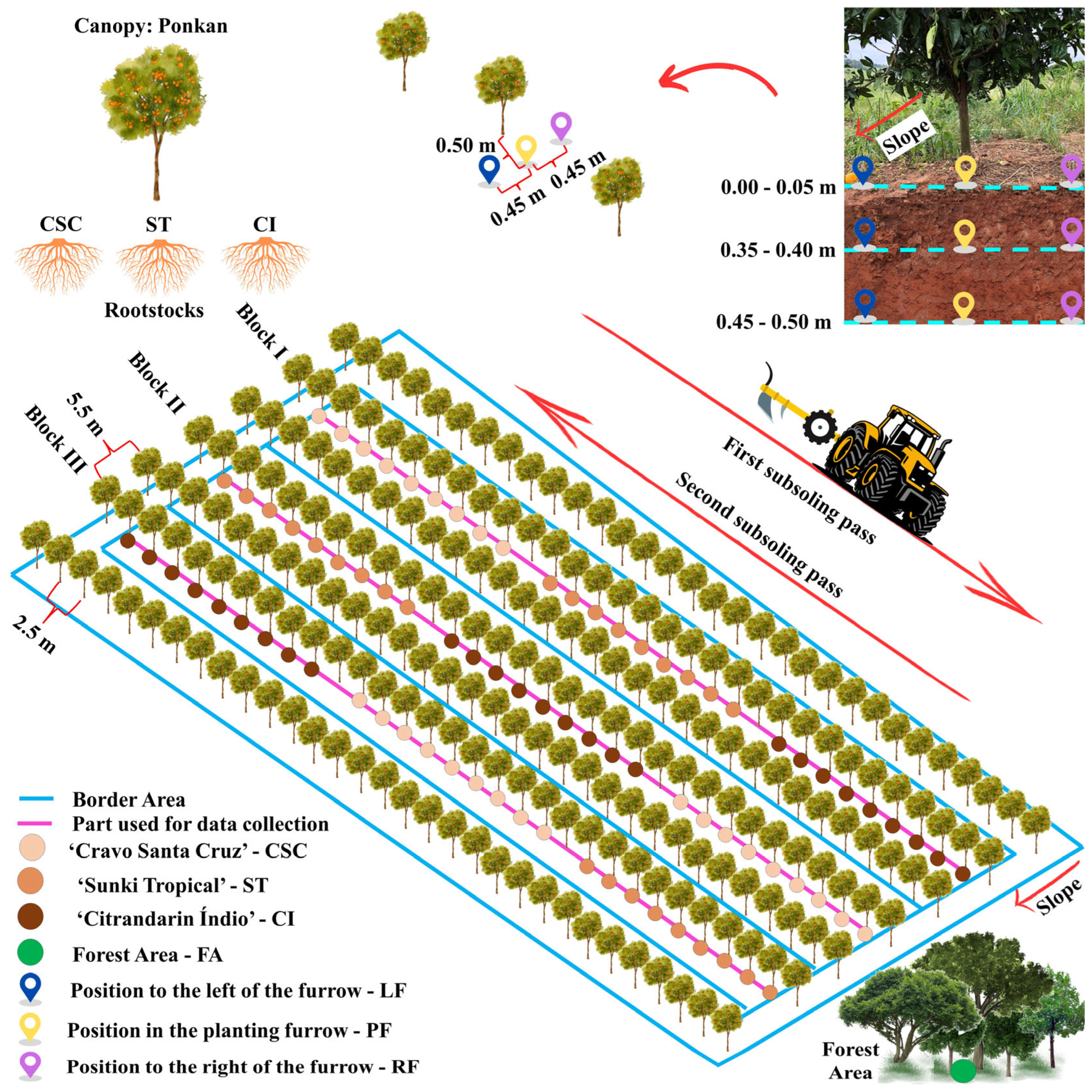 Soilsystems 08 00110 g002