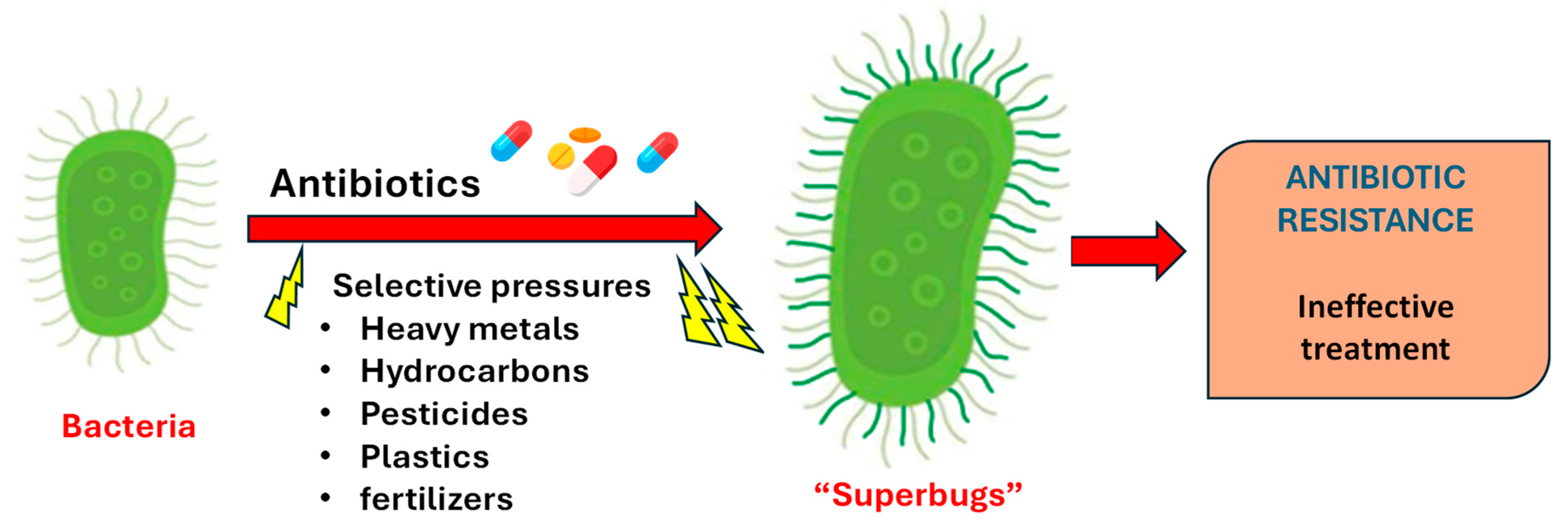 Soilsystems 09 00002 g006