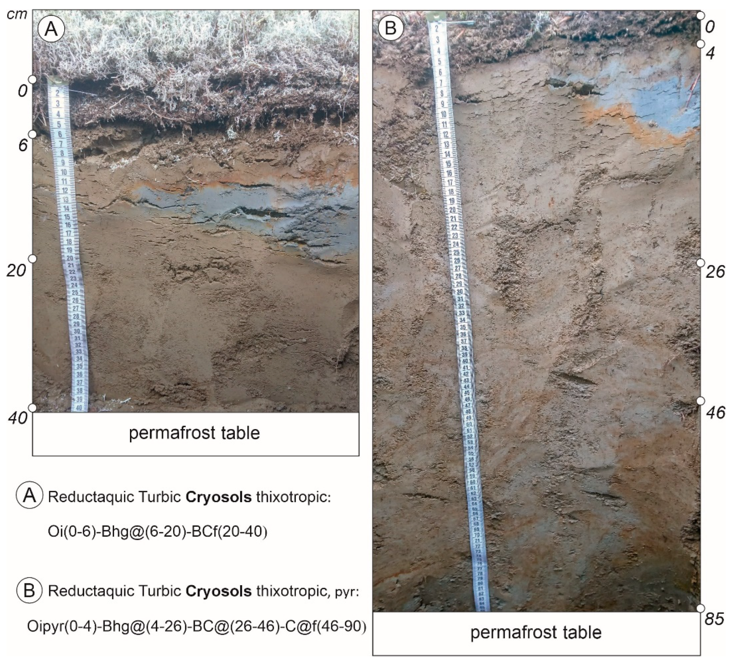 Soilsystems 09 00015 g002