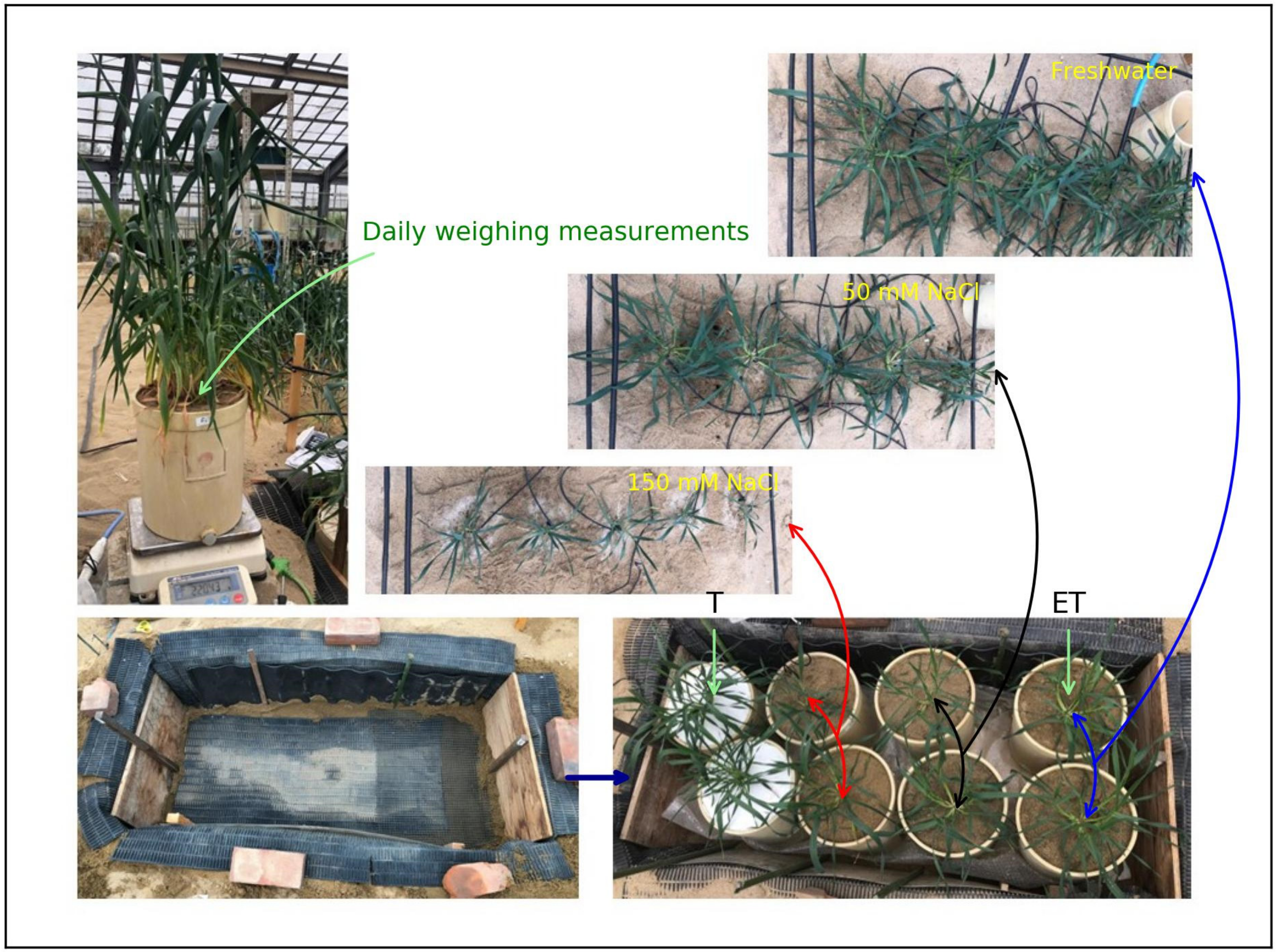 Soilsystems 09 00028 g001