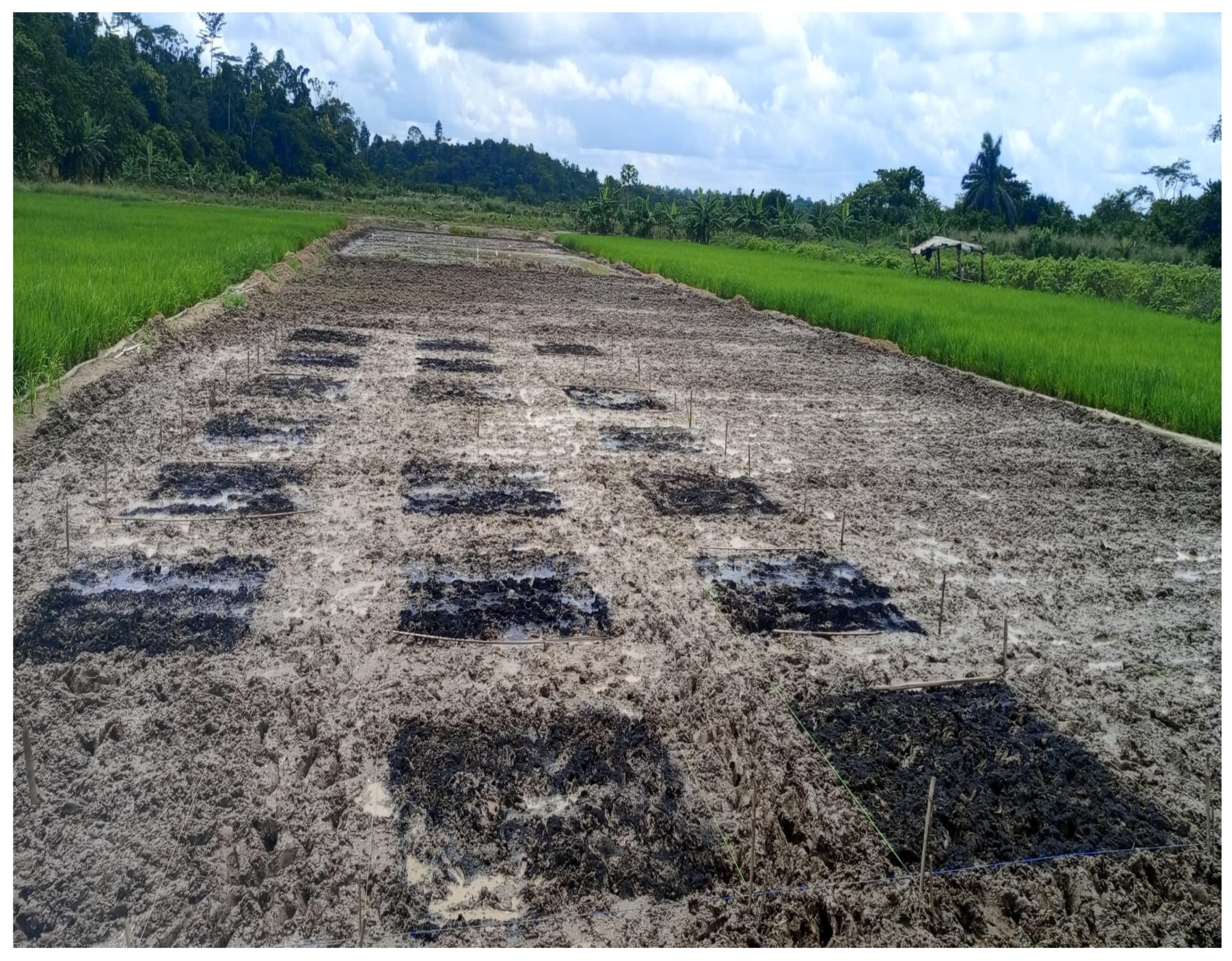 Soilsystems 09 00038 g002