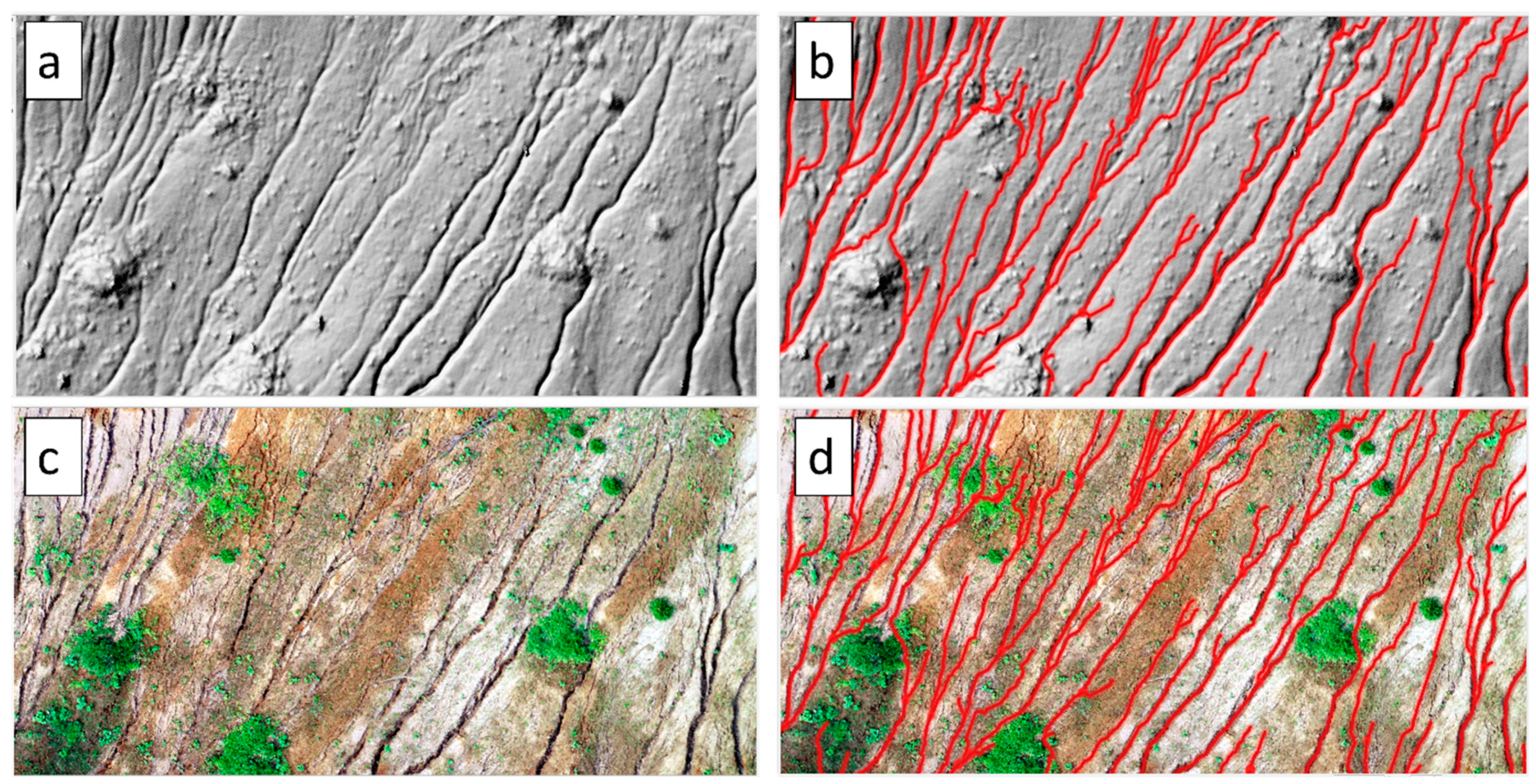 Soilsystems 09 00042 g007