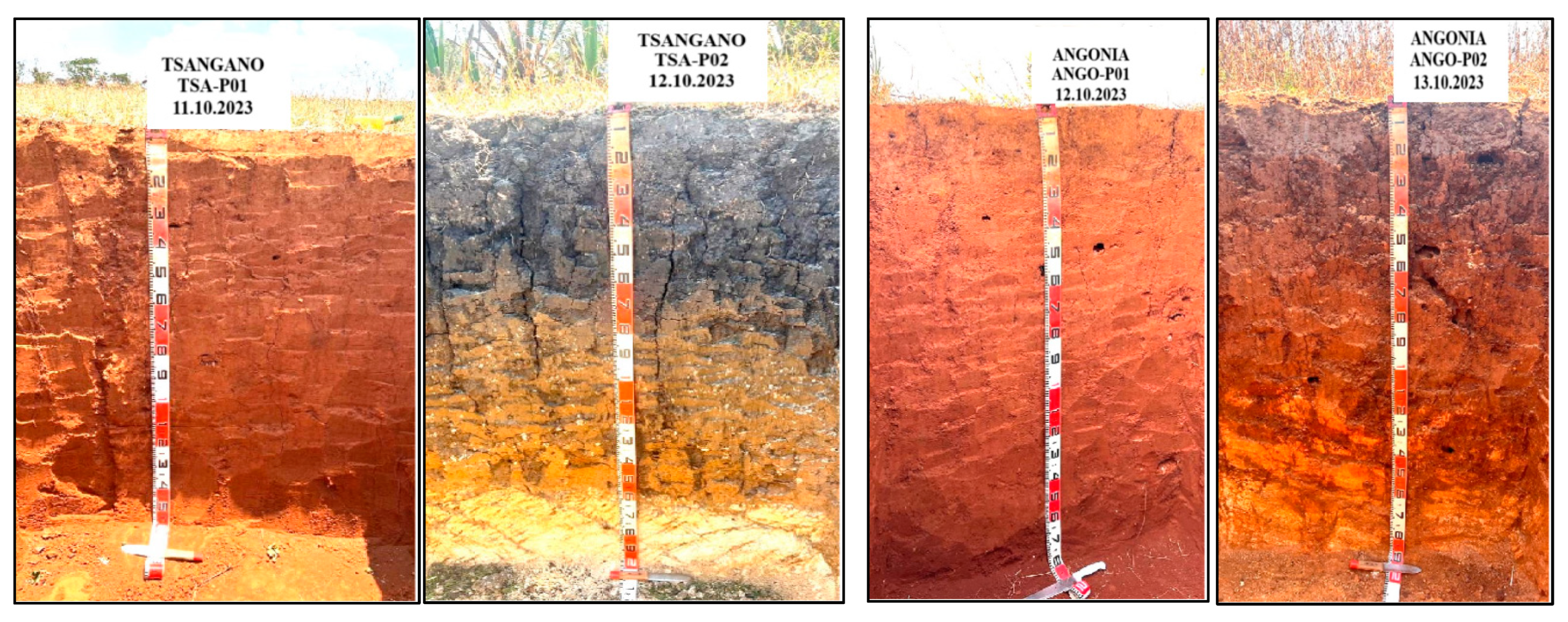 Soilsystems 09 00053 g003