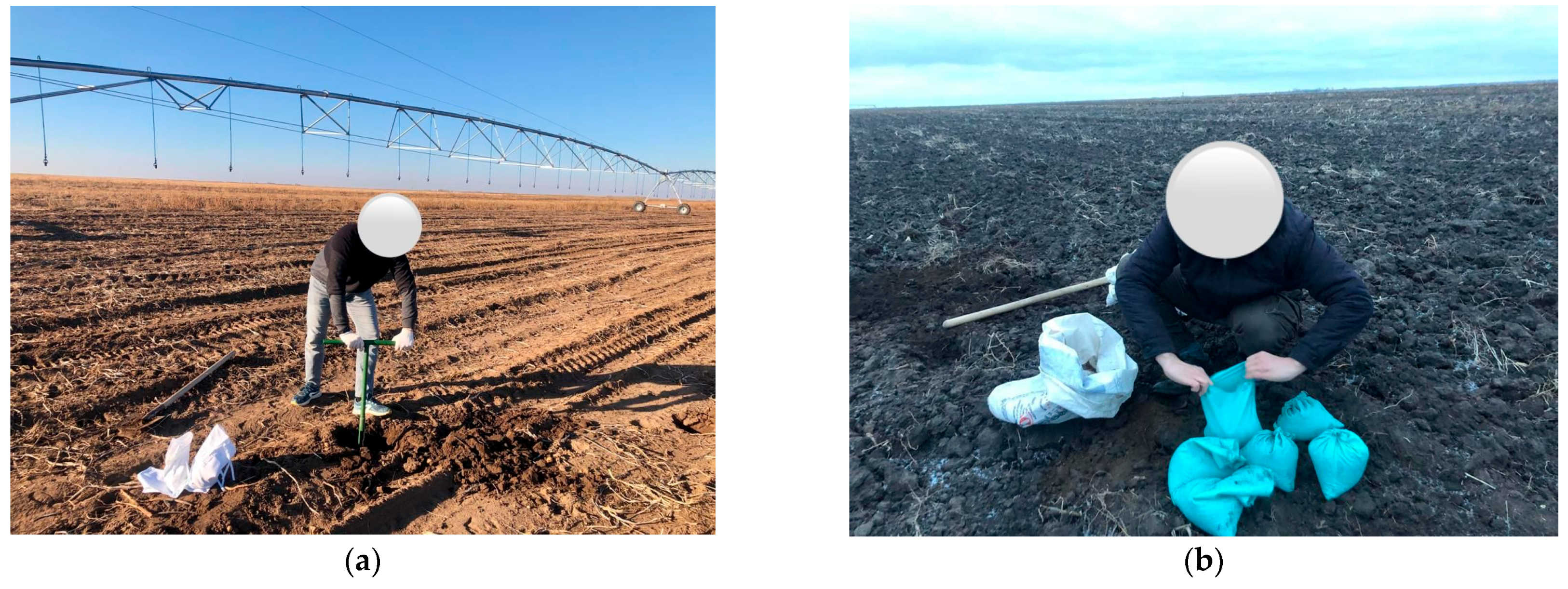 Soilsystems 09 00057 g003