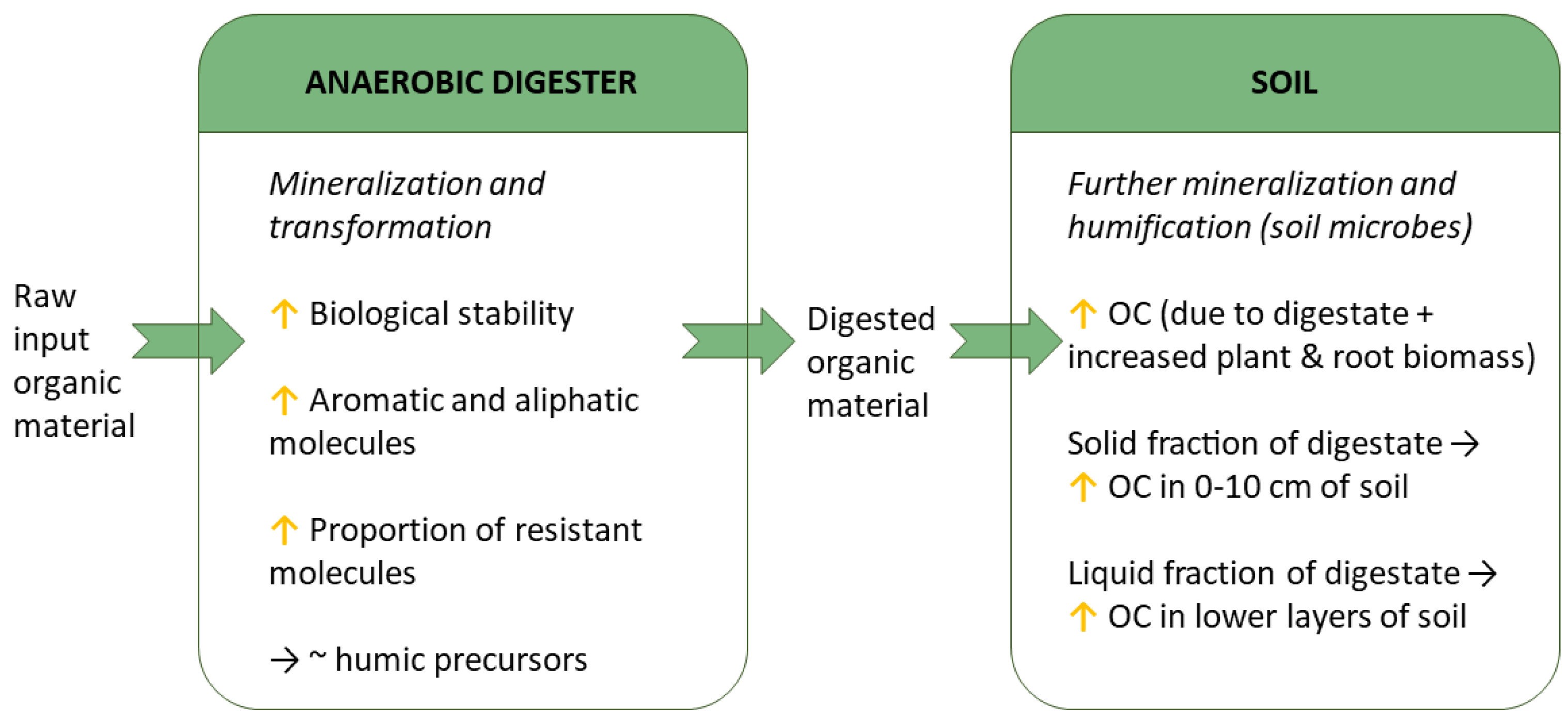 Soilsystems 09 00078 g003