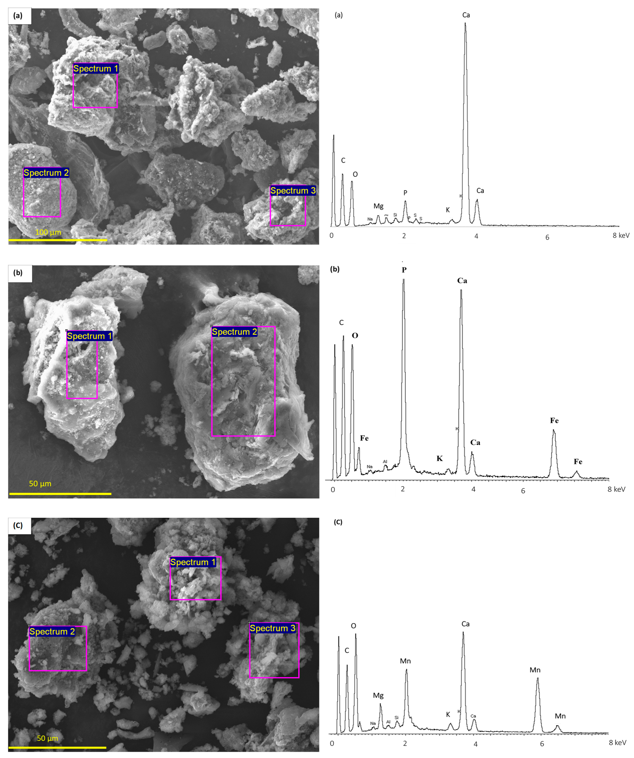 Soilsystems 09 00085 g001a Soilsystems 09 00085 g001a