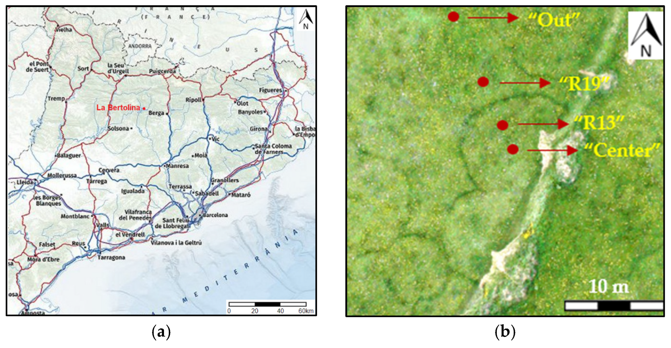 Soilsystems 09 00092 g001