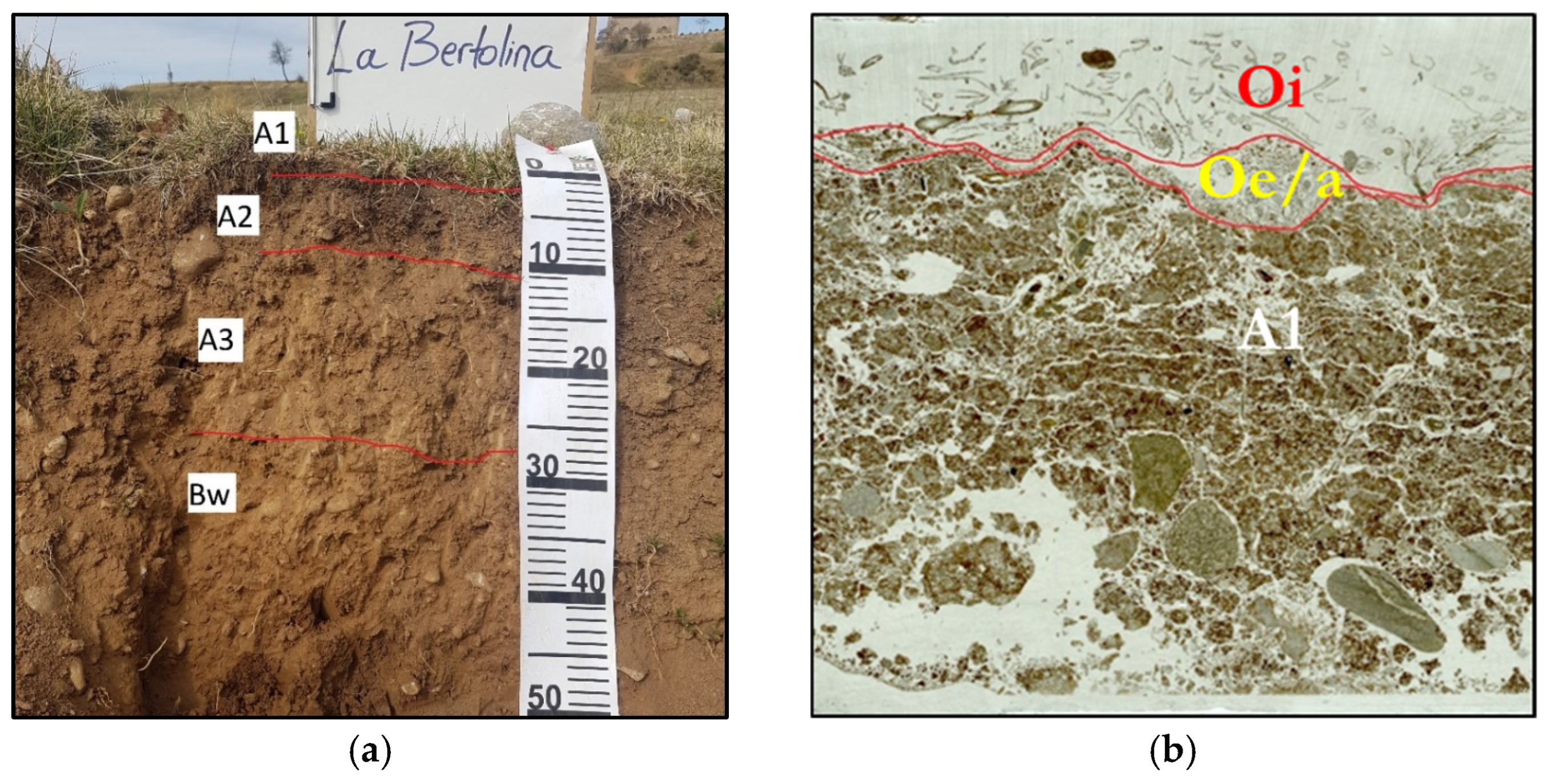 Soilsystems 09 00092 g003
