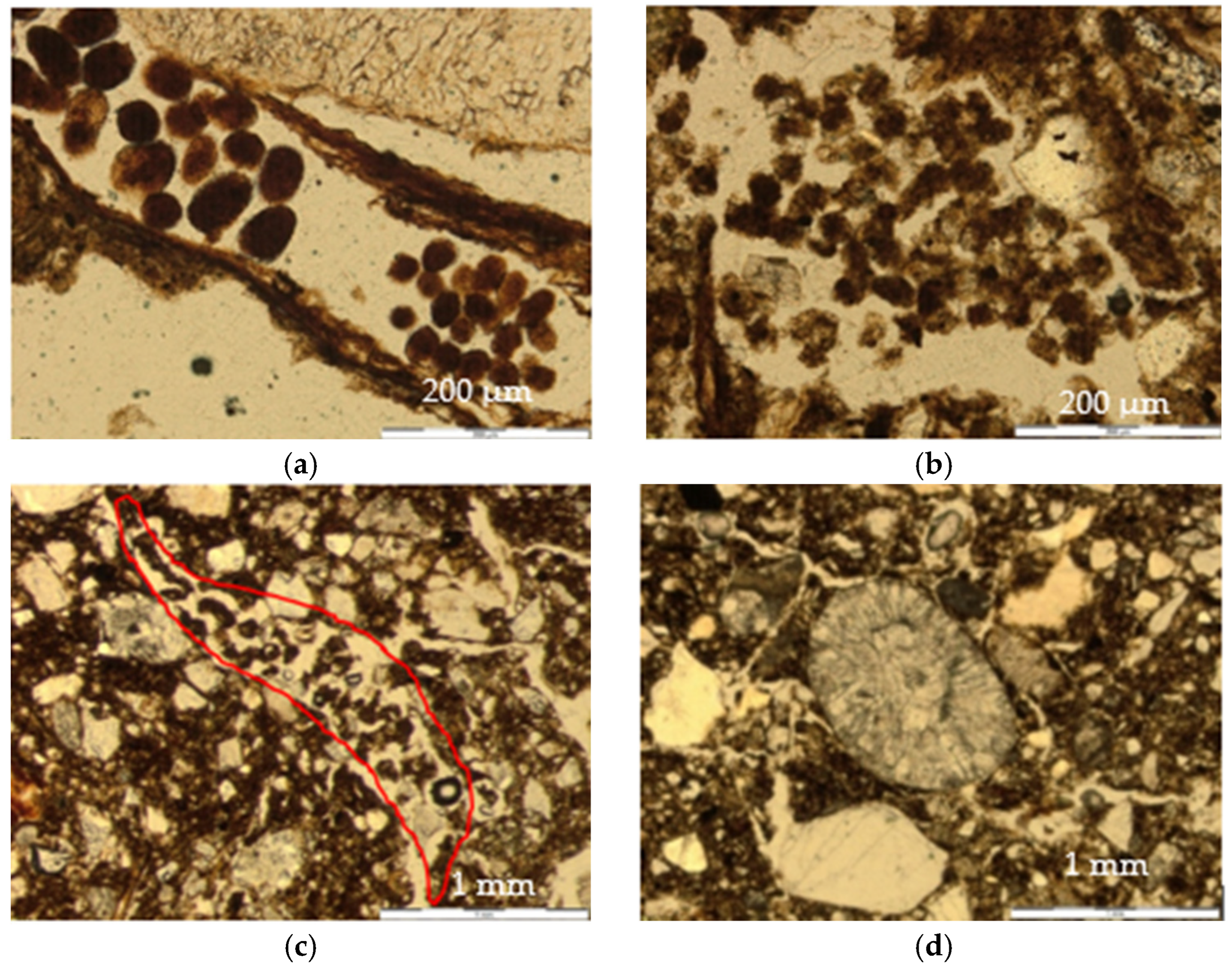 Soilsystems 09 00092 g006