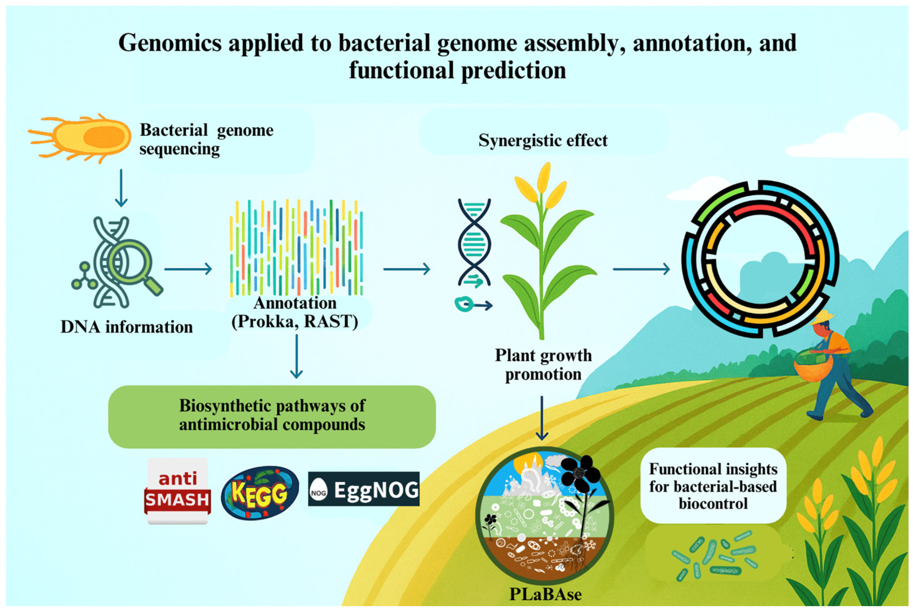 Soilsystems 09 00108 g001 Soilsystems 09 00108 g001