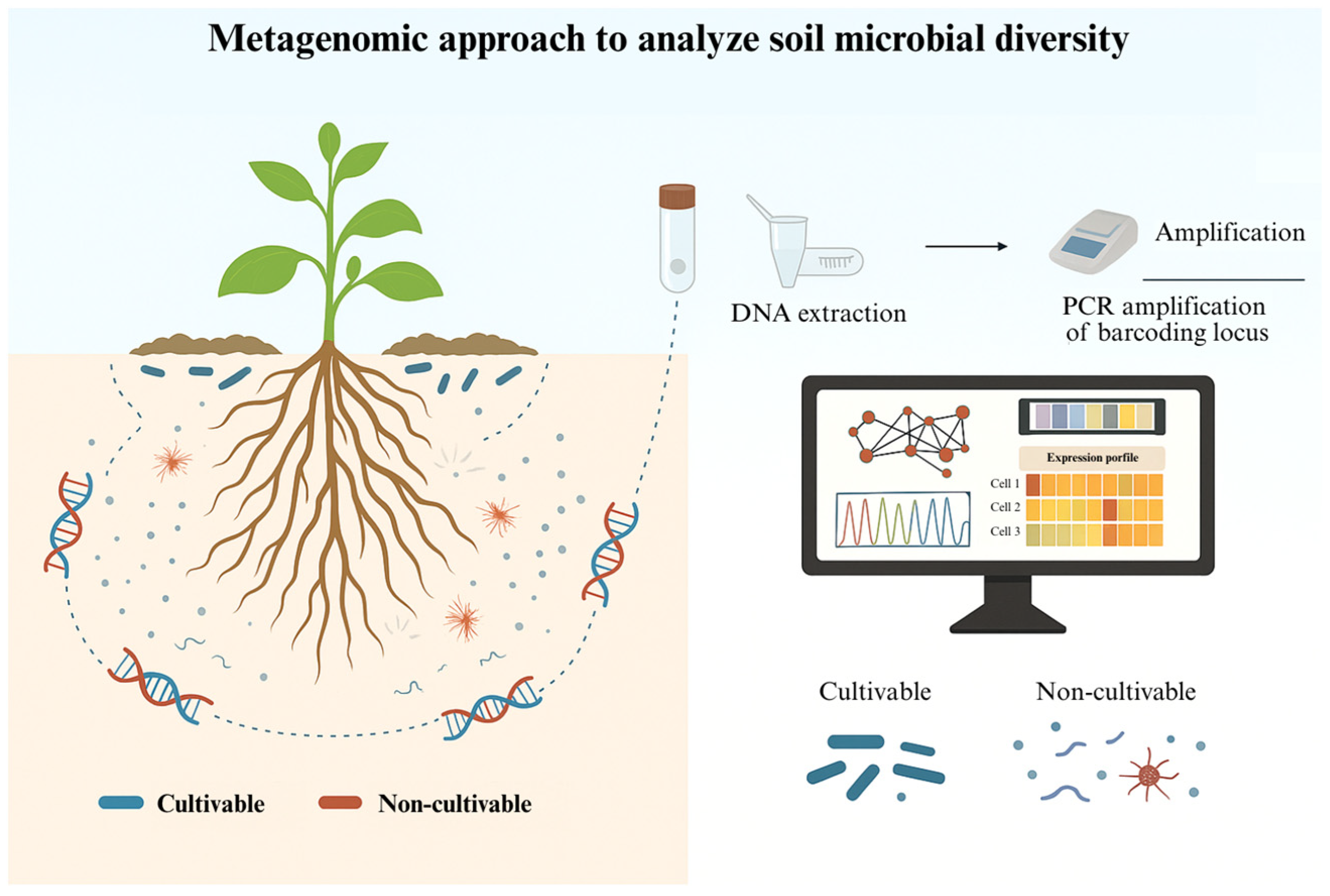 Soilsystems 09 00108 g002 Soilsystems 09 00108 g002
