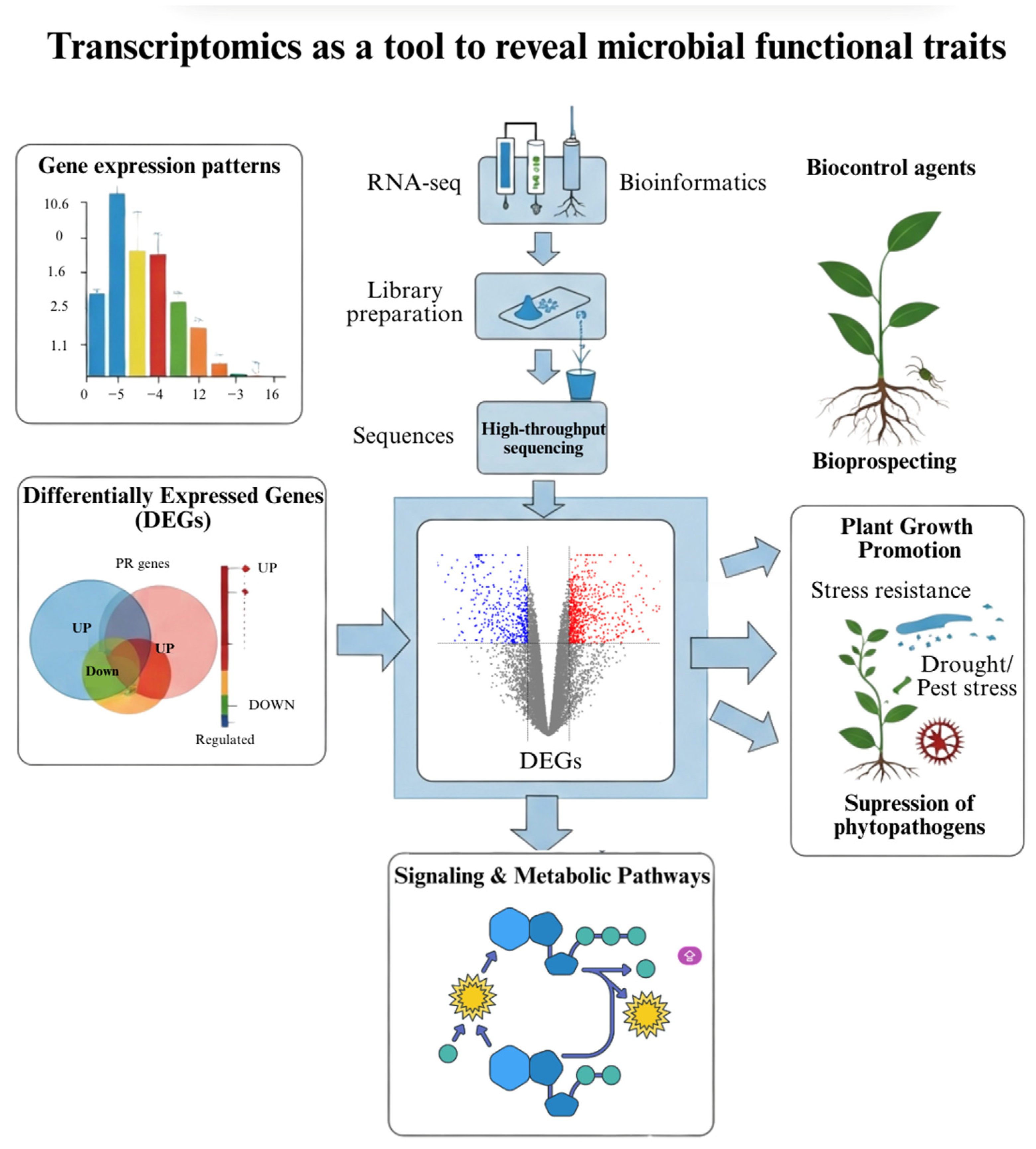 Soilsystems 09 00108 g003 Soilsystems 09 00108 g003