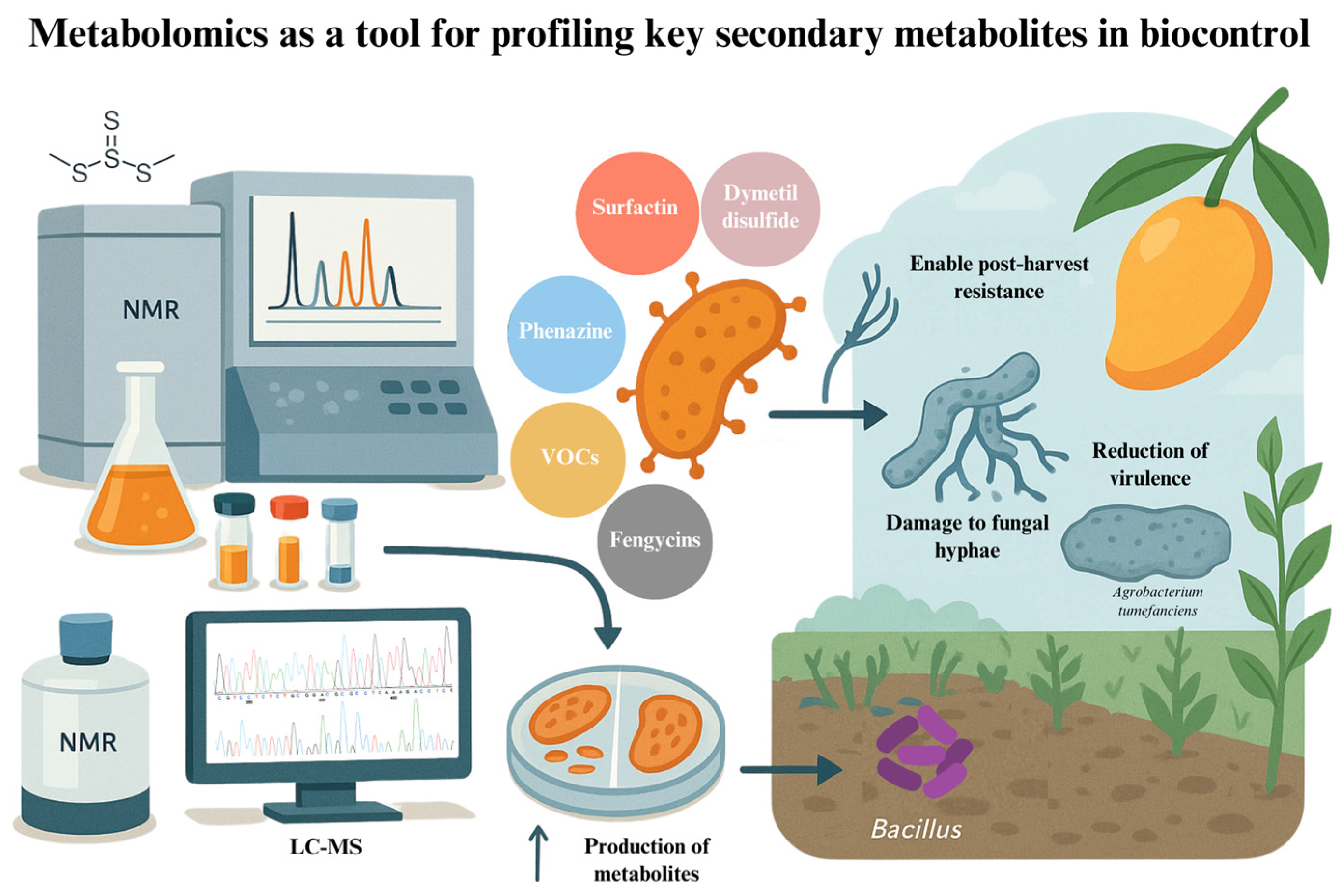 Soilsystems 09 00108 g004 Soilsystems 09 00108 g004