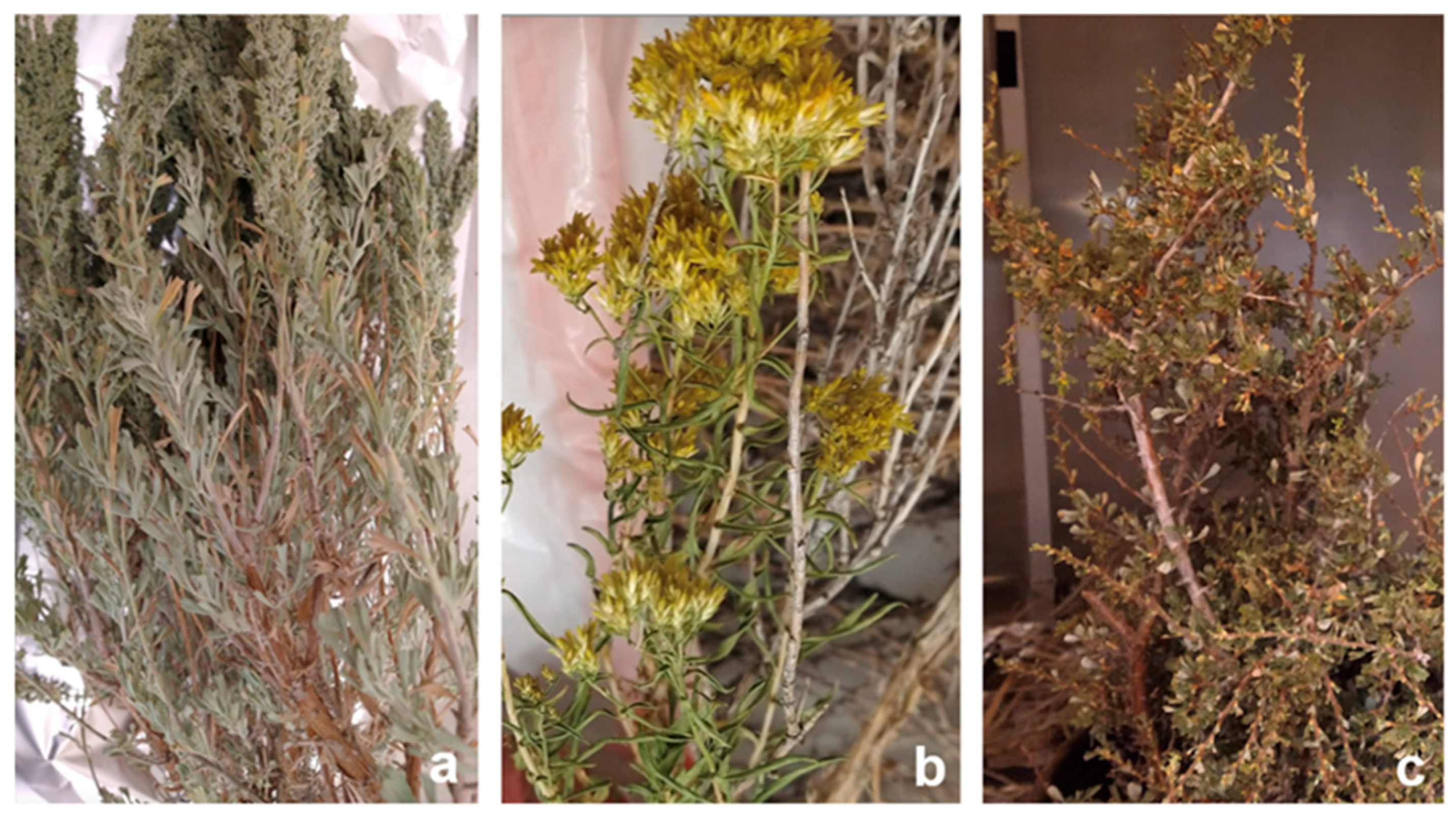 Soilsystems 09 00111 g001