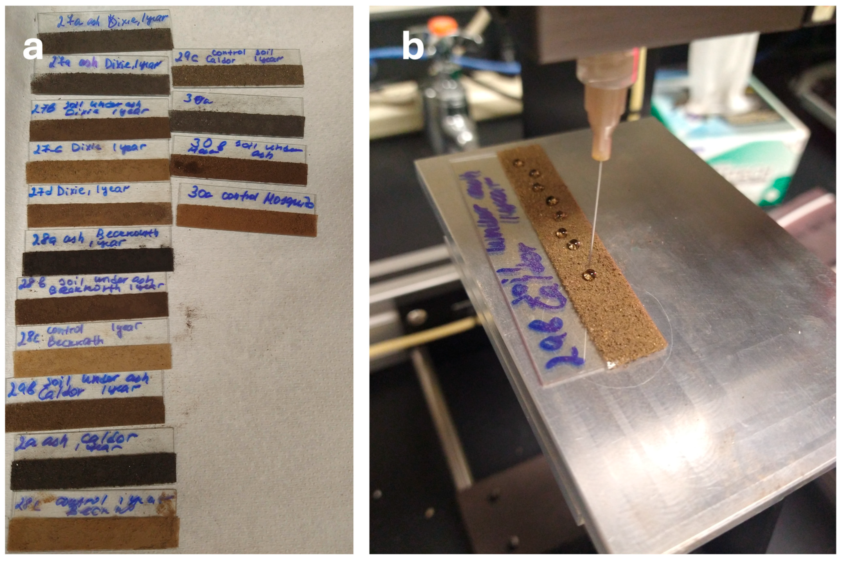 Soilsystems 09 00111 g004