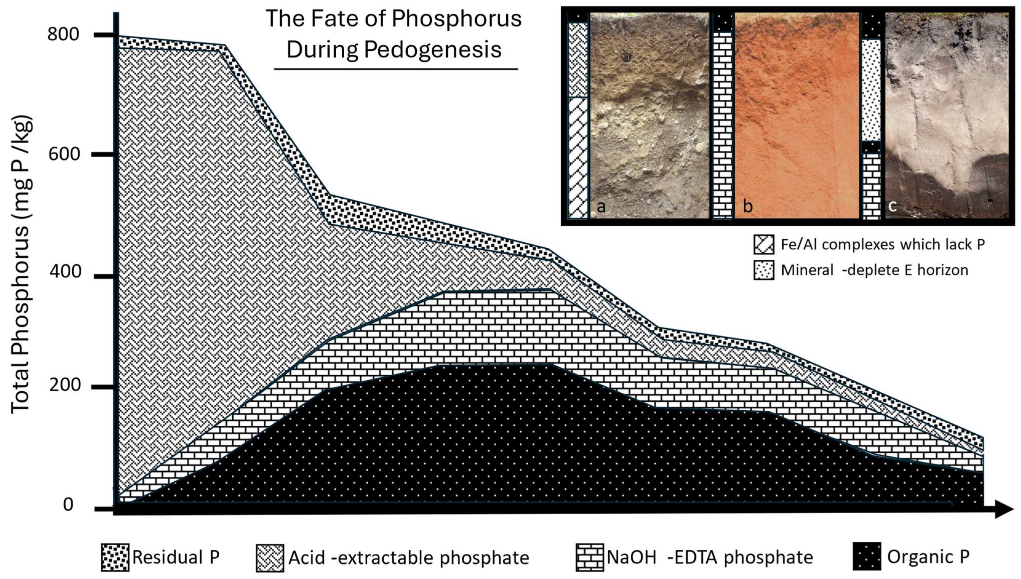Soilsystems 09 00115 g001