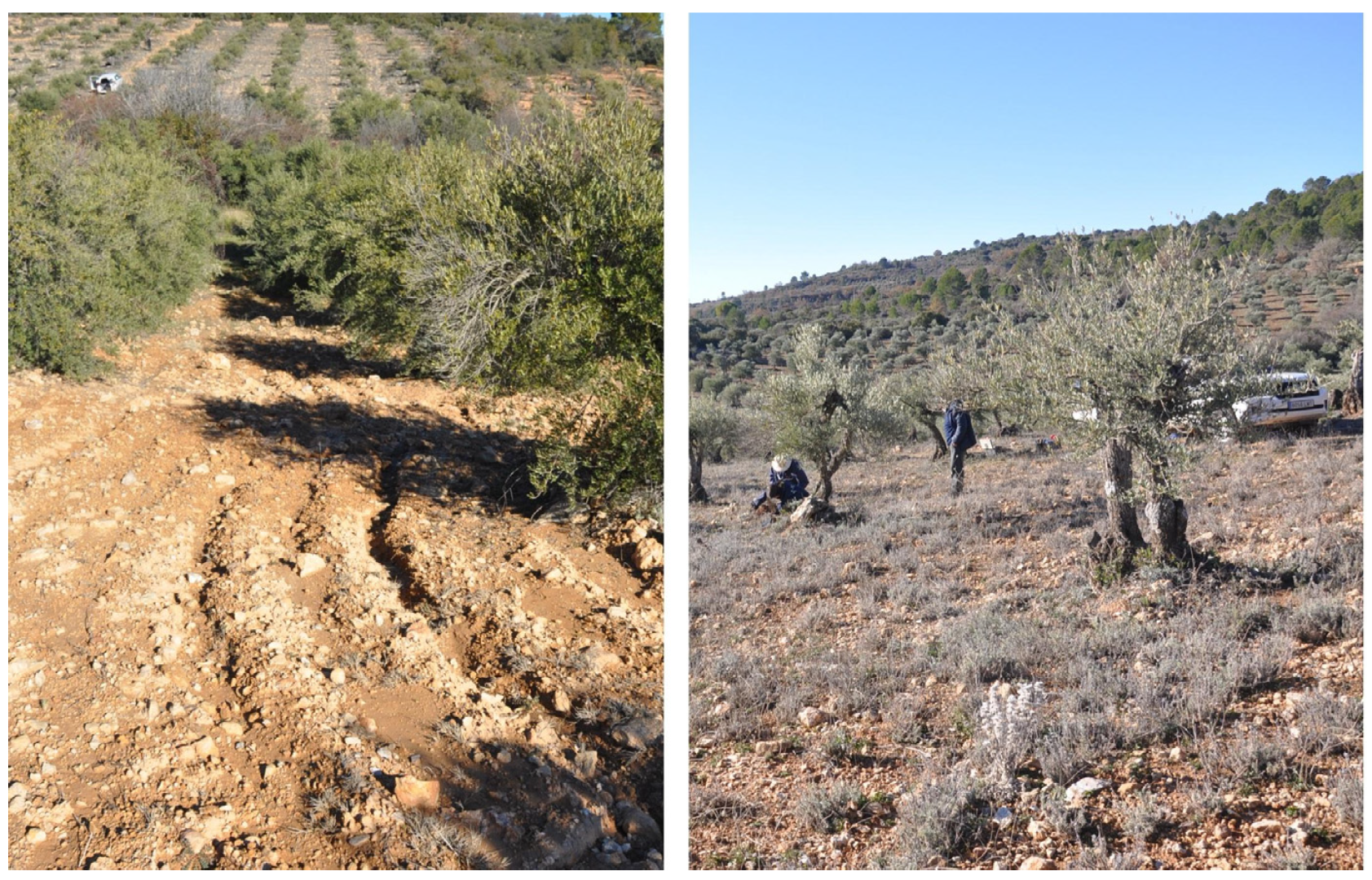 Soilsystems 09 00118 g001