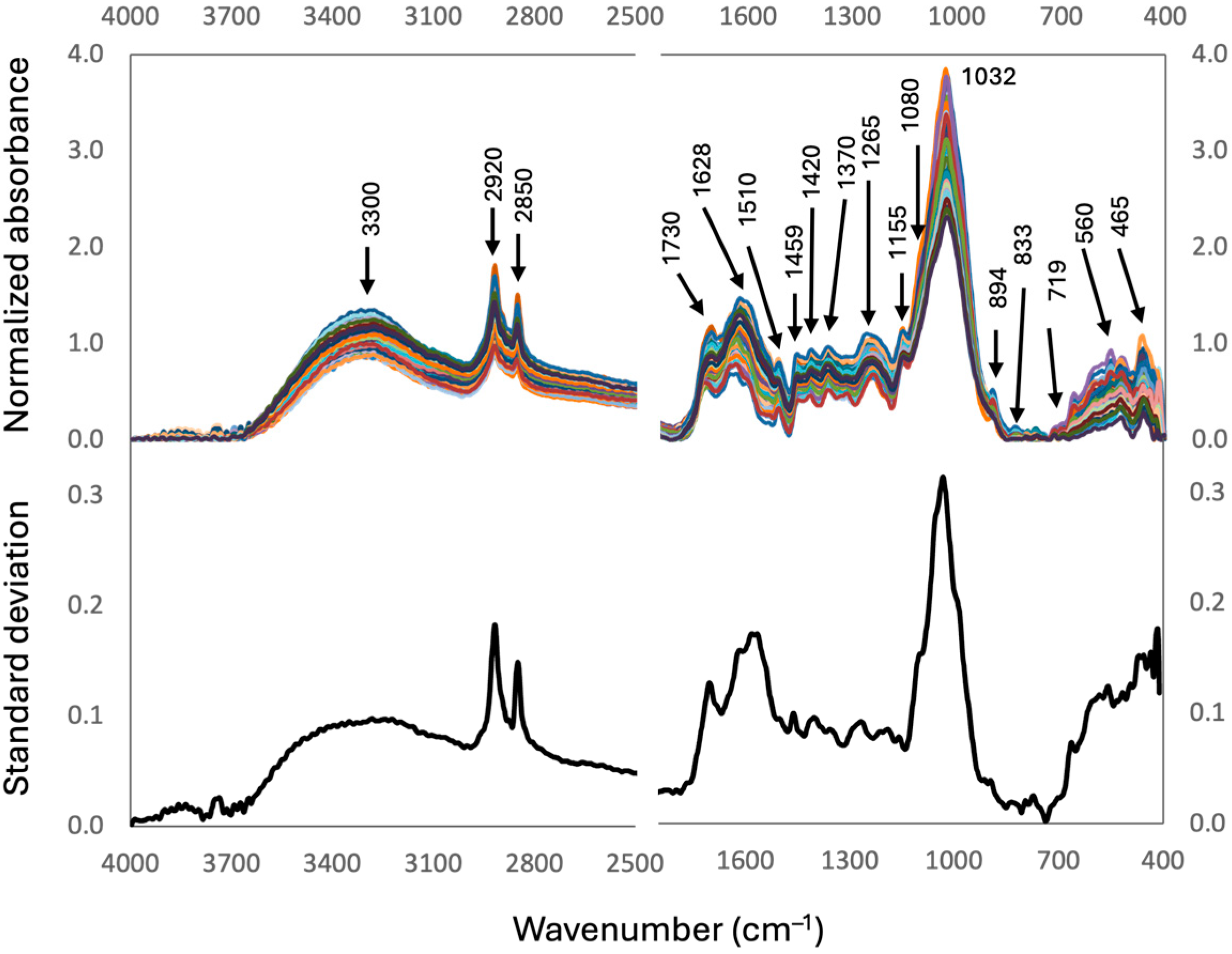 Soilsystems 09 00120 g002