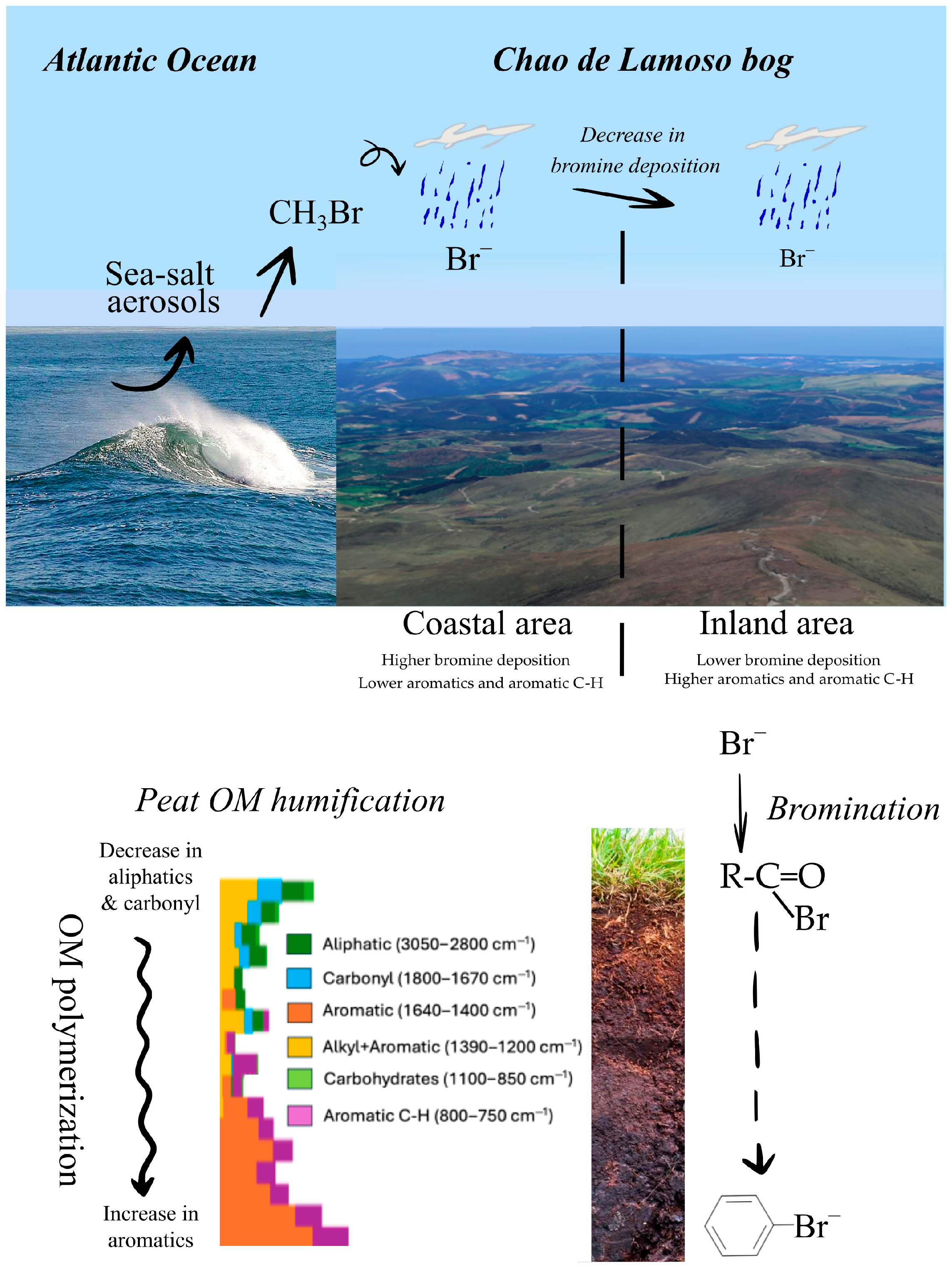 Soilsystems 09 00120 g007