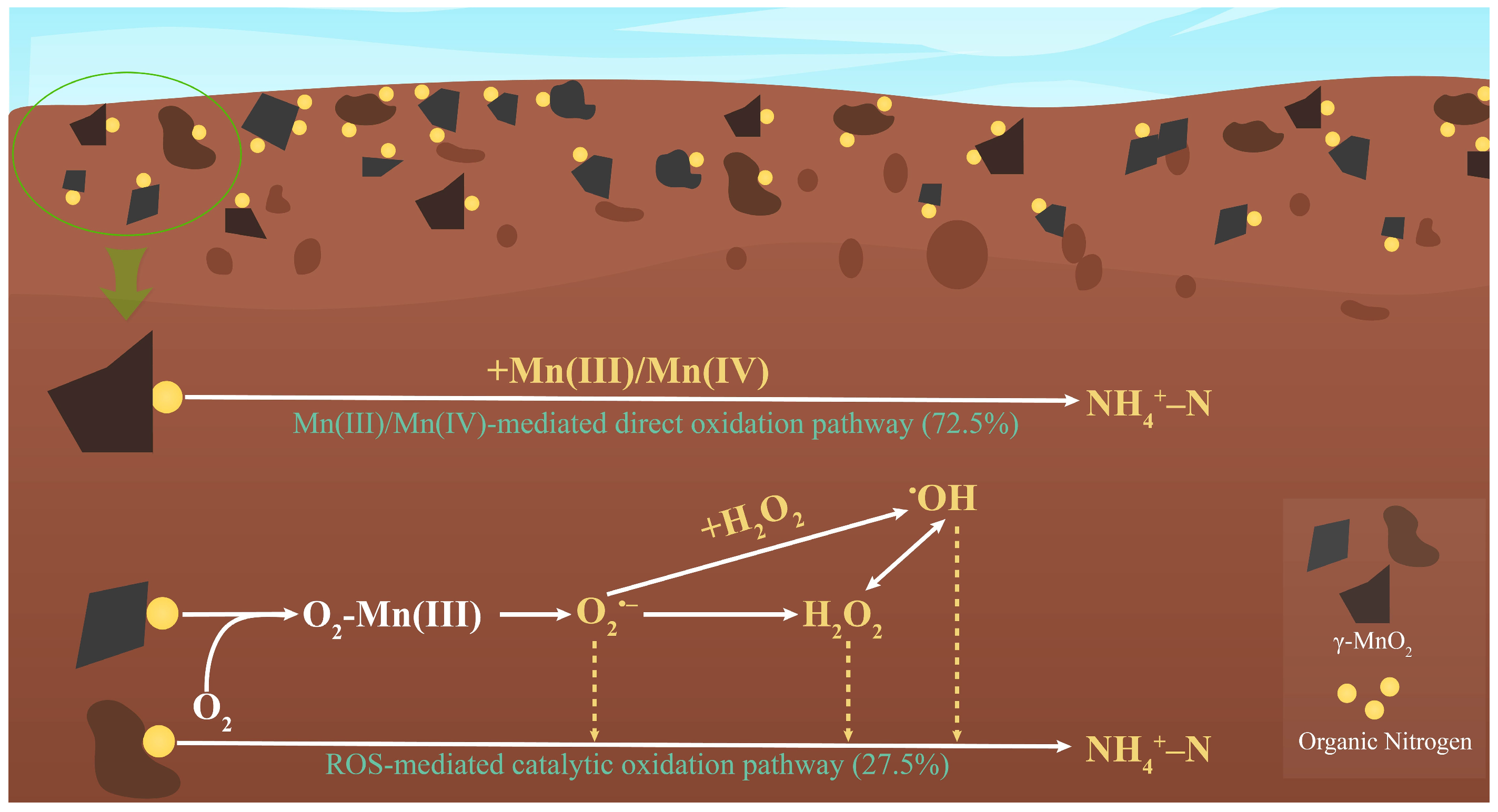 Soilsystems 09 00123 g008