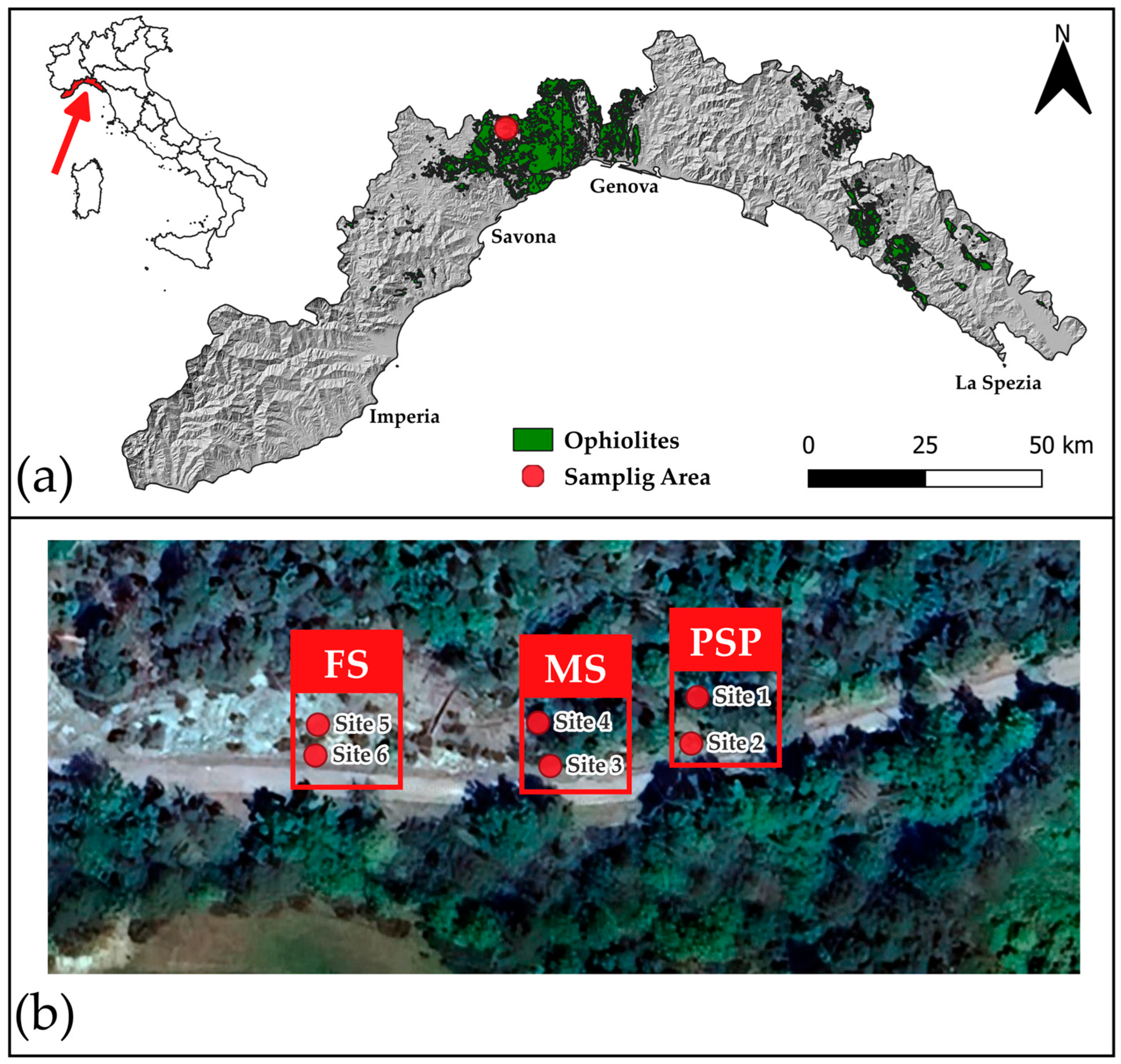 Soilsystems 09 00129 g001 Soilsystems 09 00129 g001