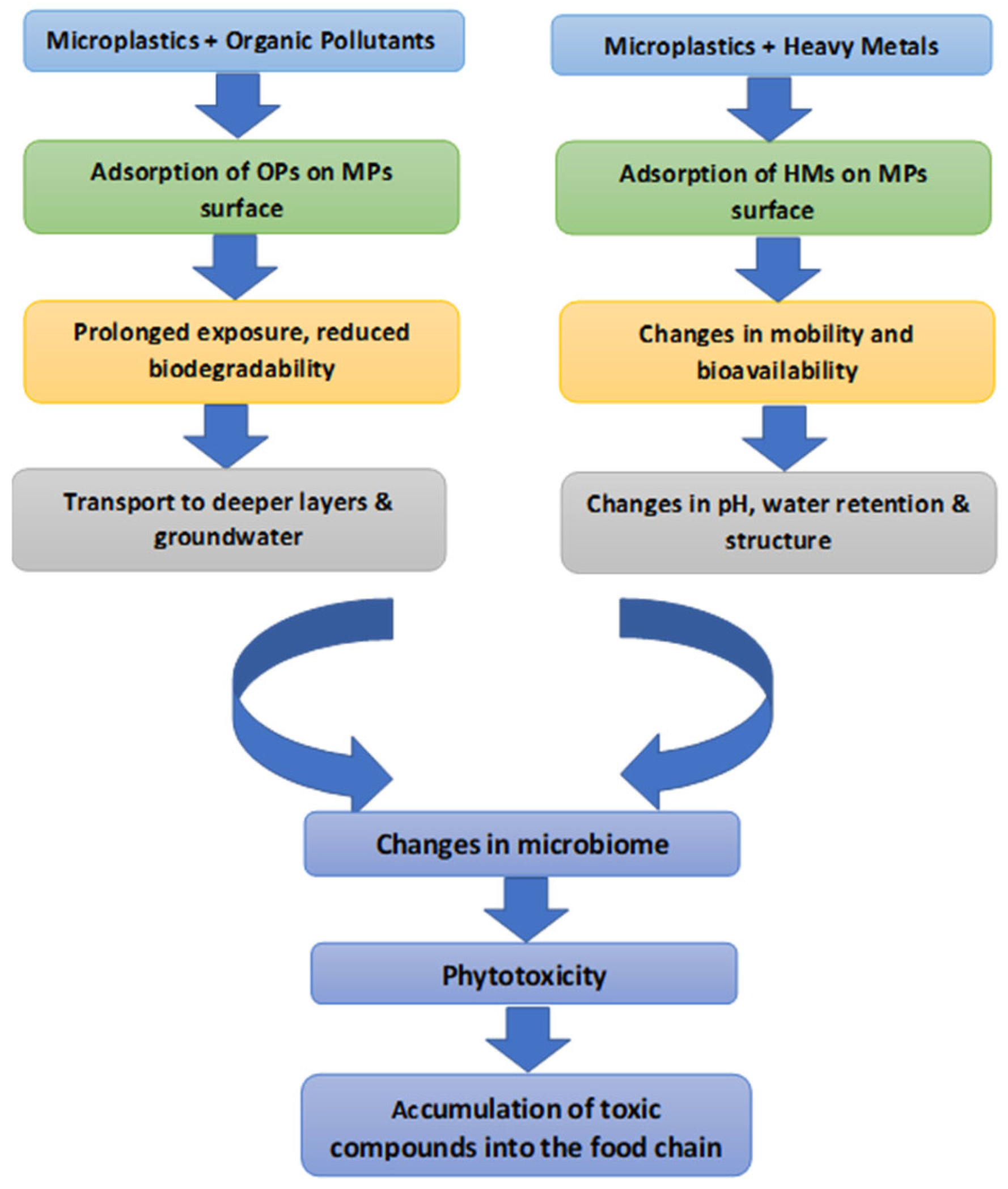 Soilsystems 09 00137 g001 Soilsystems 09 00137 g001