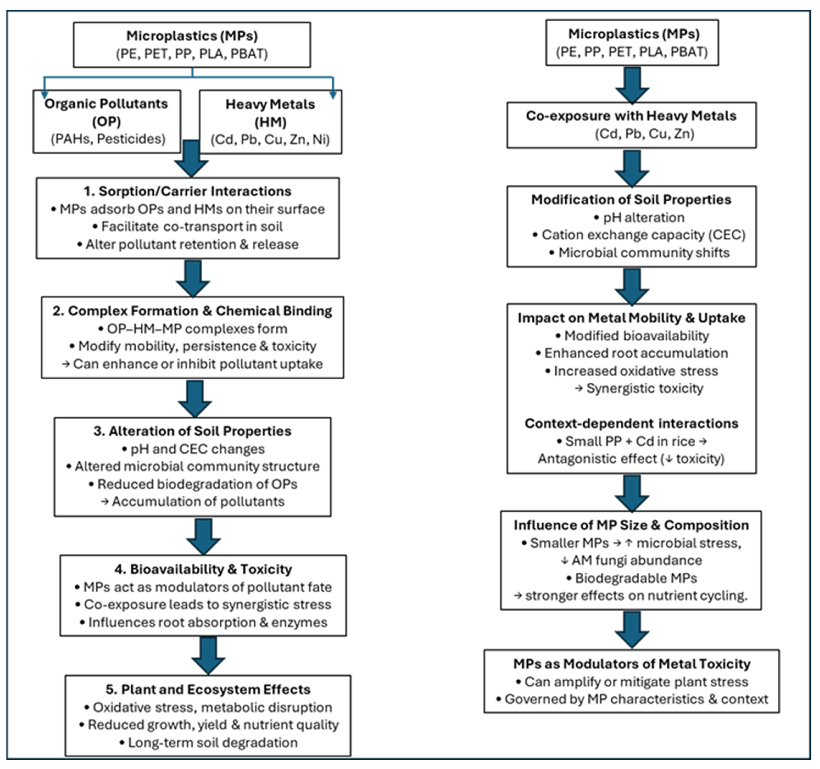 Soilsystems 09 00137 g005 Soilsystems 09 00137 g005