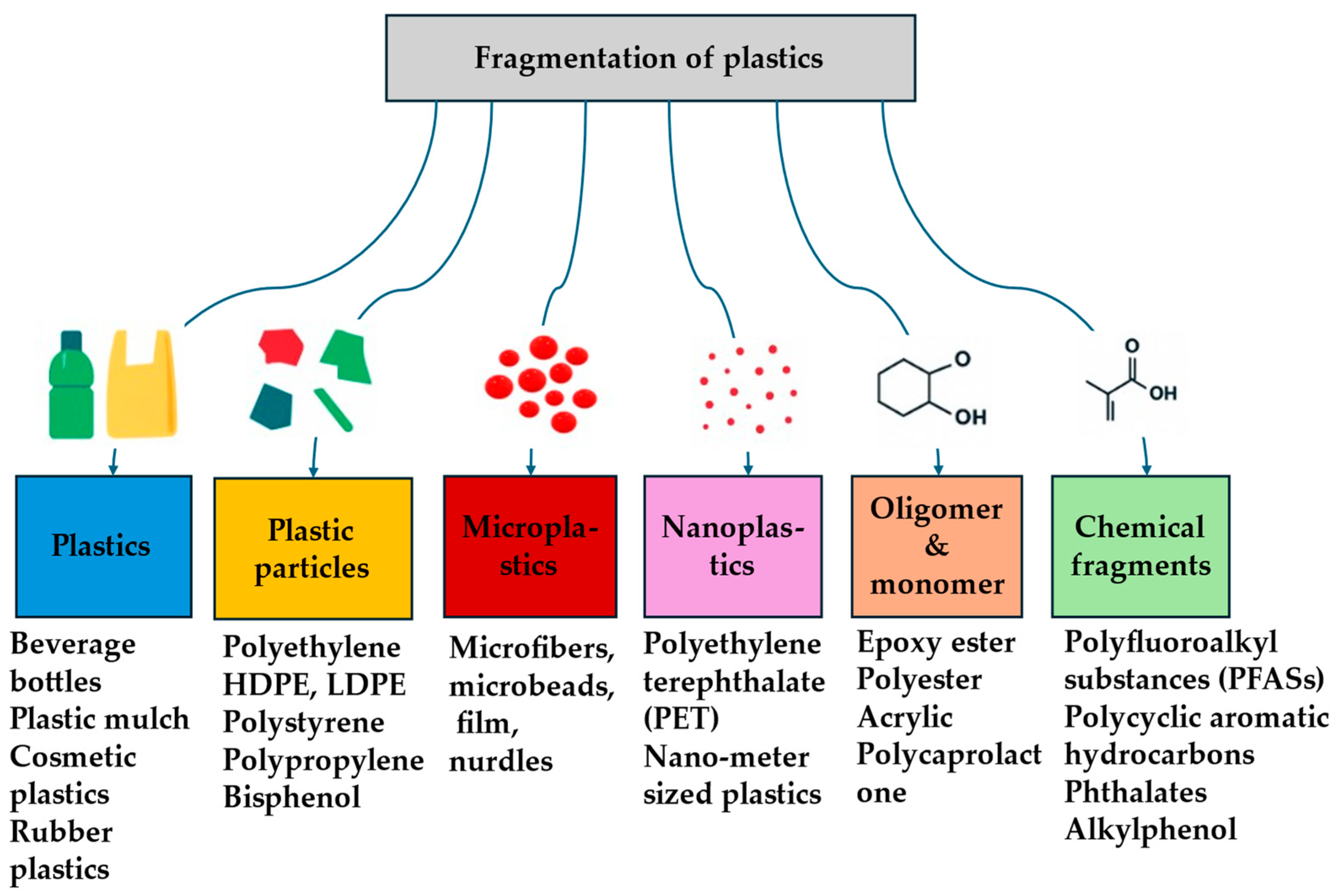 Impacts of Micro/Nanoplastics on Crop Physiology and Soil