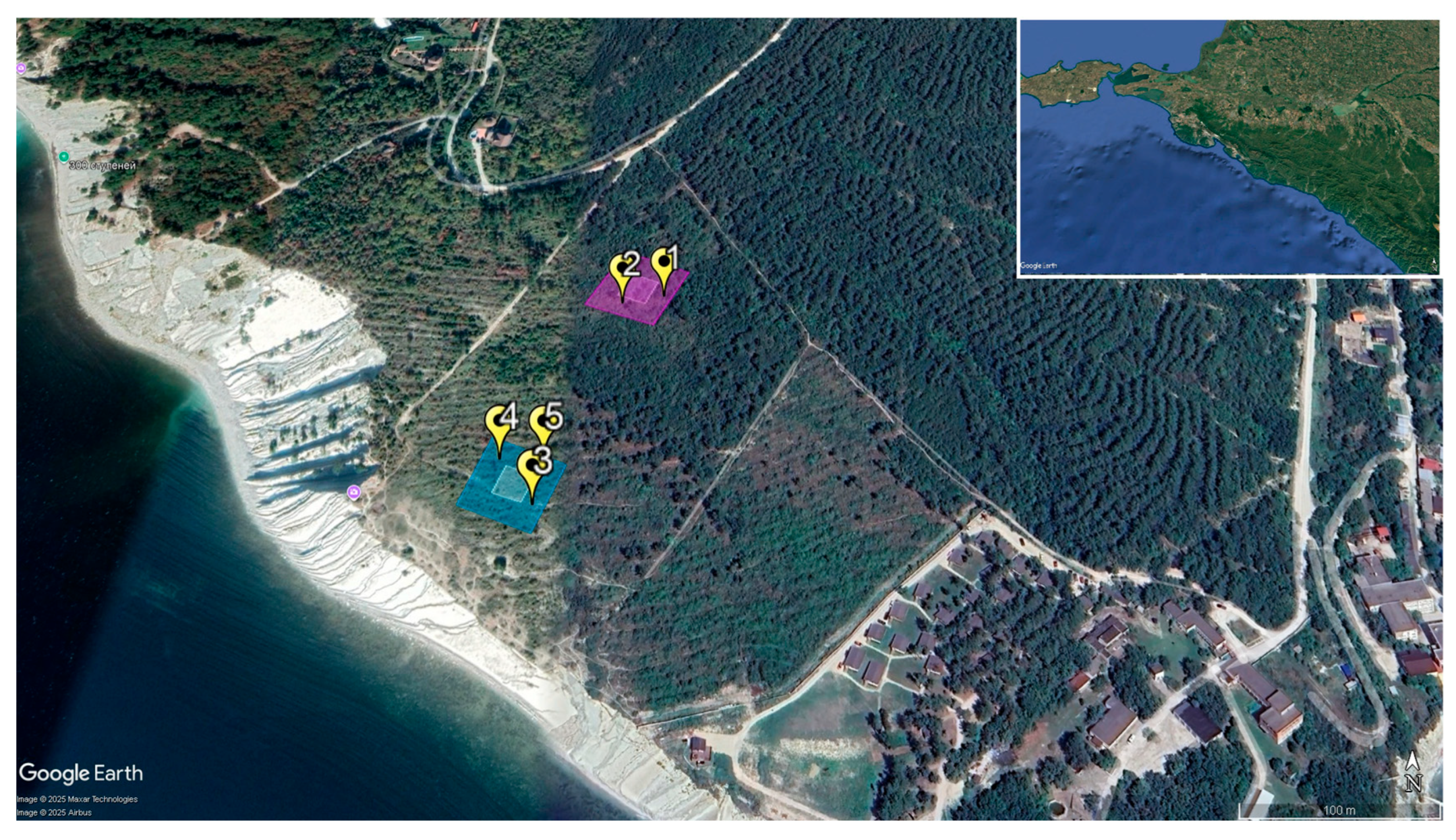 Soilsystems 10 00004 g001