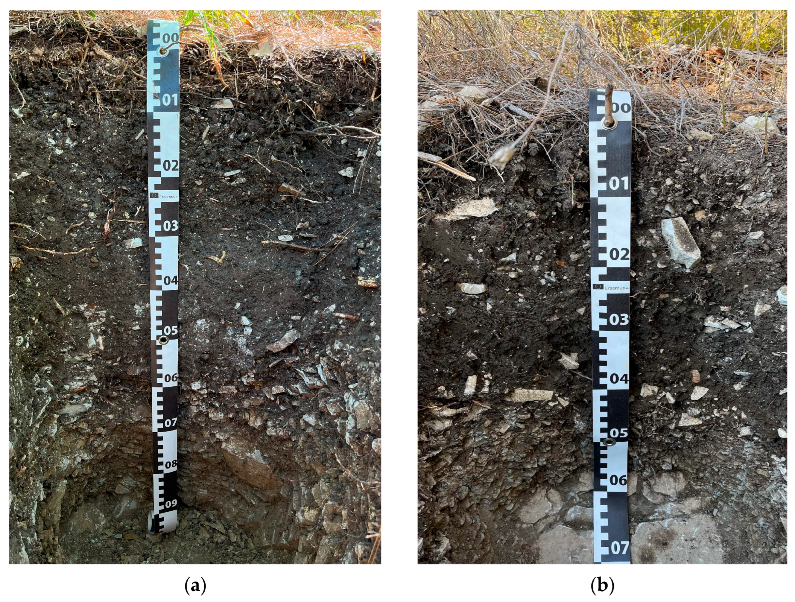 Soilsystems 10 00004 g002