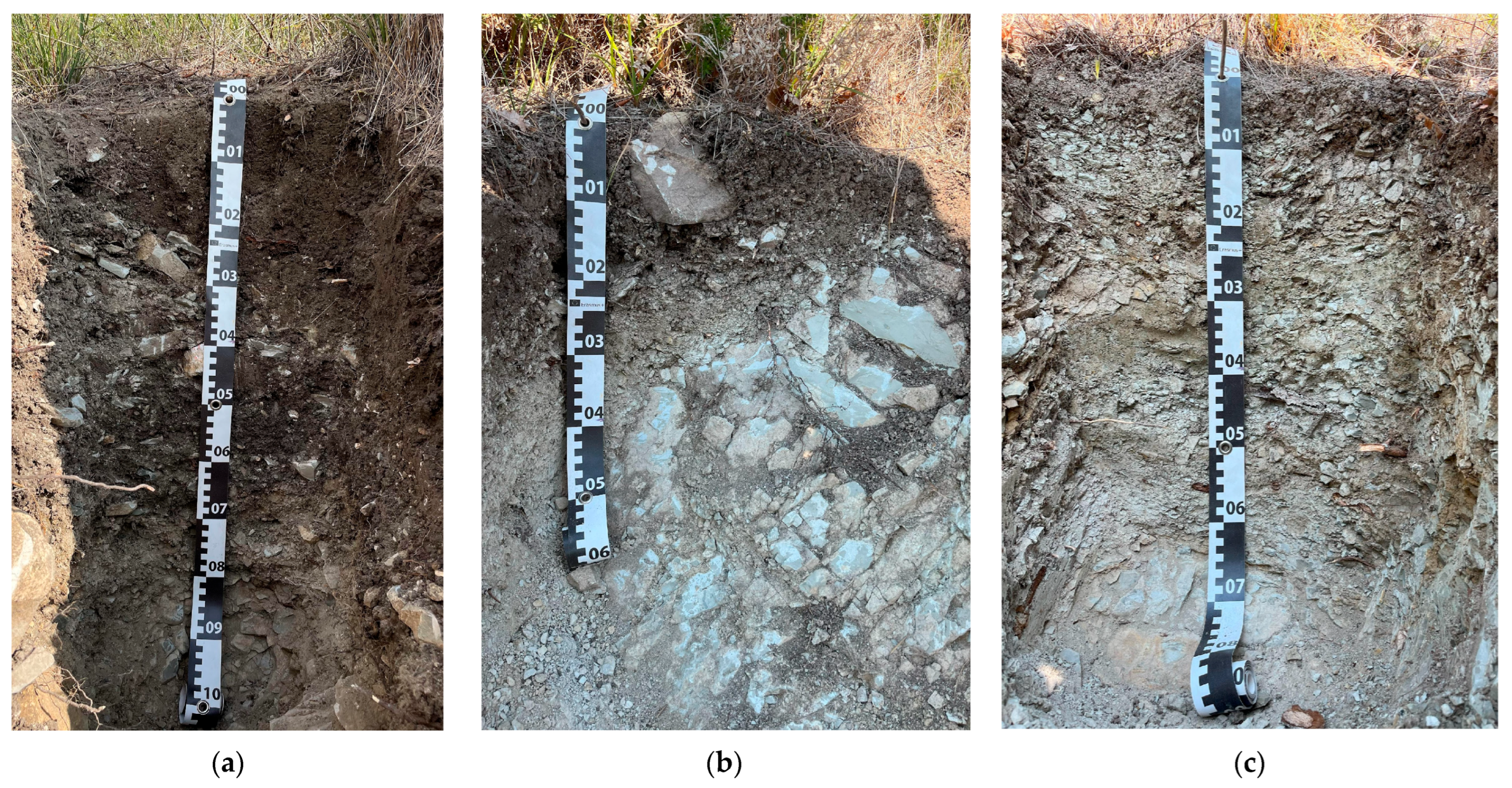Soilsystems 10 00004 g003