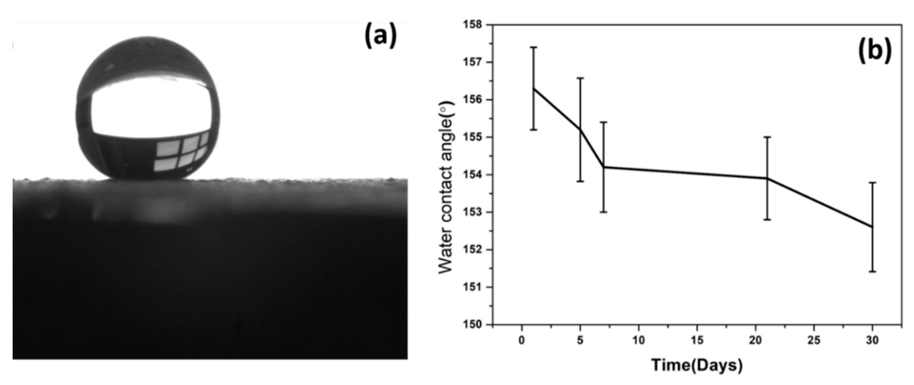 Solids 02 00004 g004