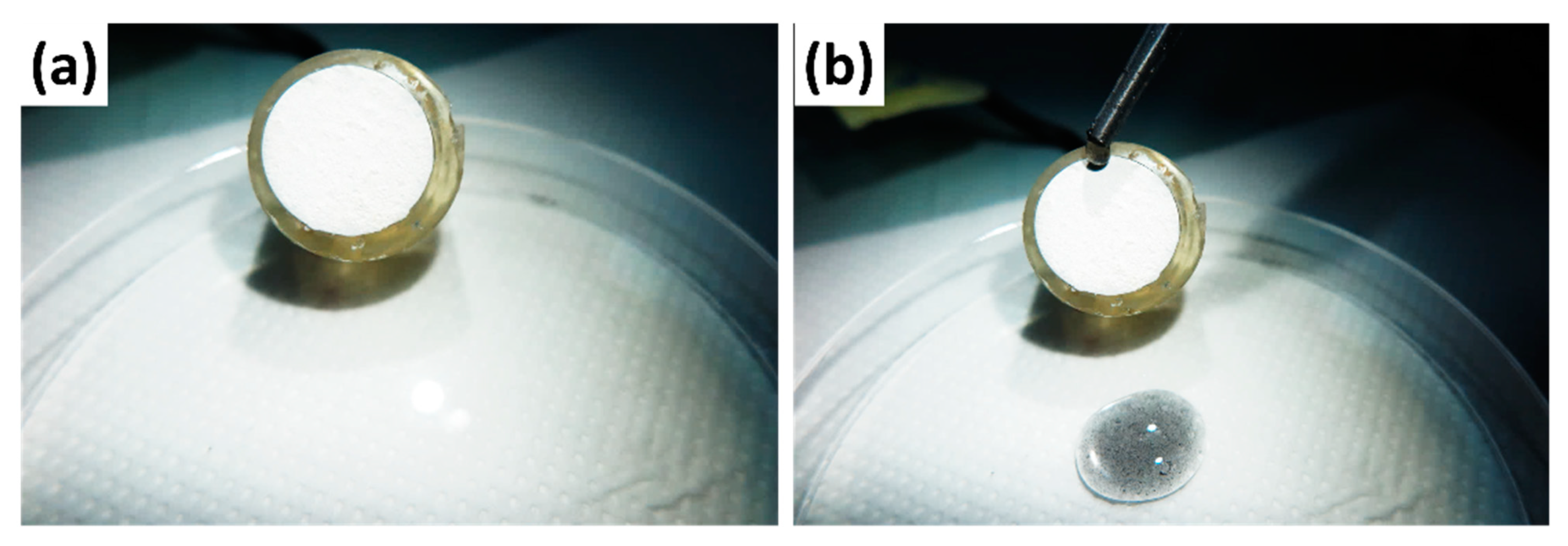 Solids 02 00004 g006