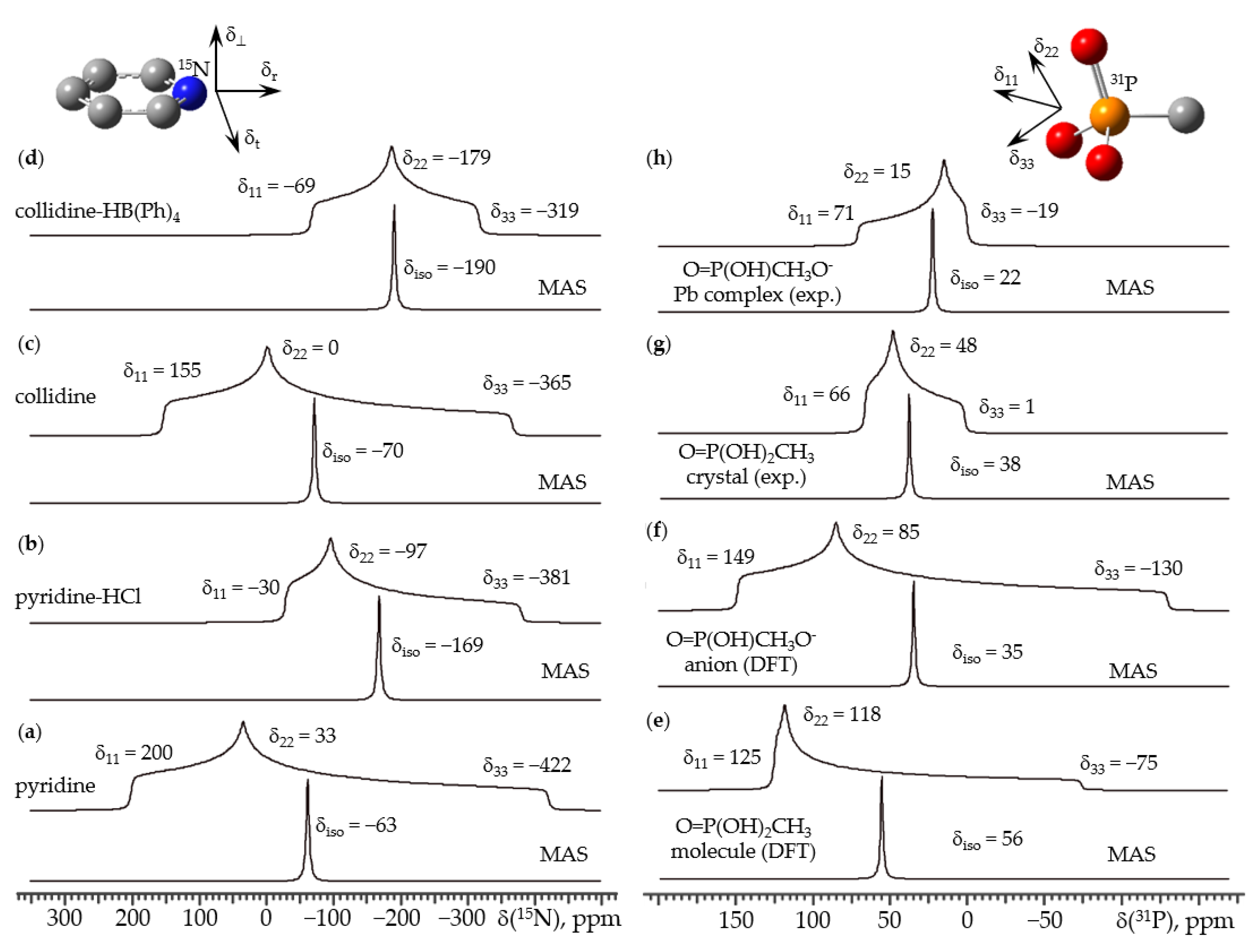 magic lines nmr